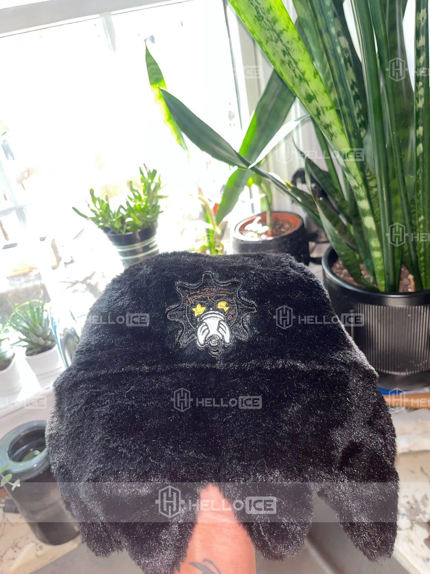 Helloice Review Image