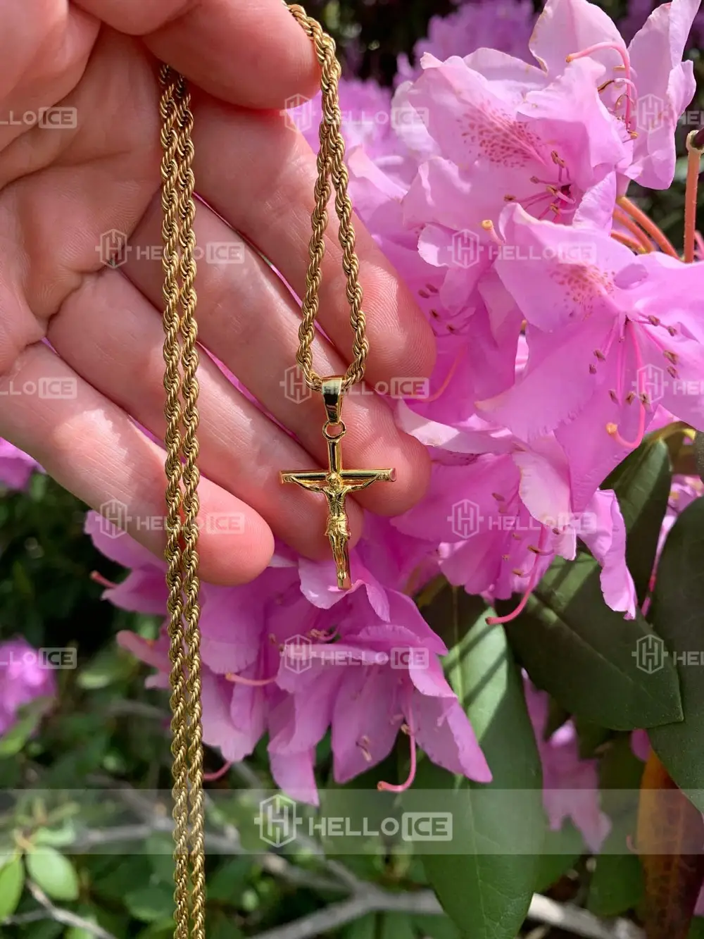 Helloice Review Image