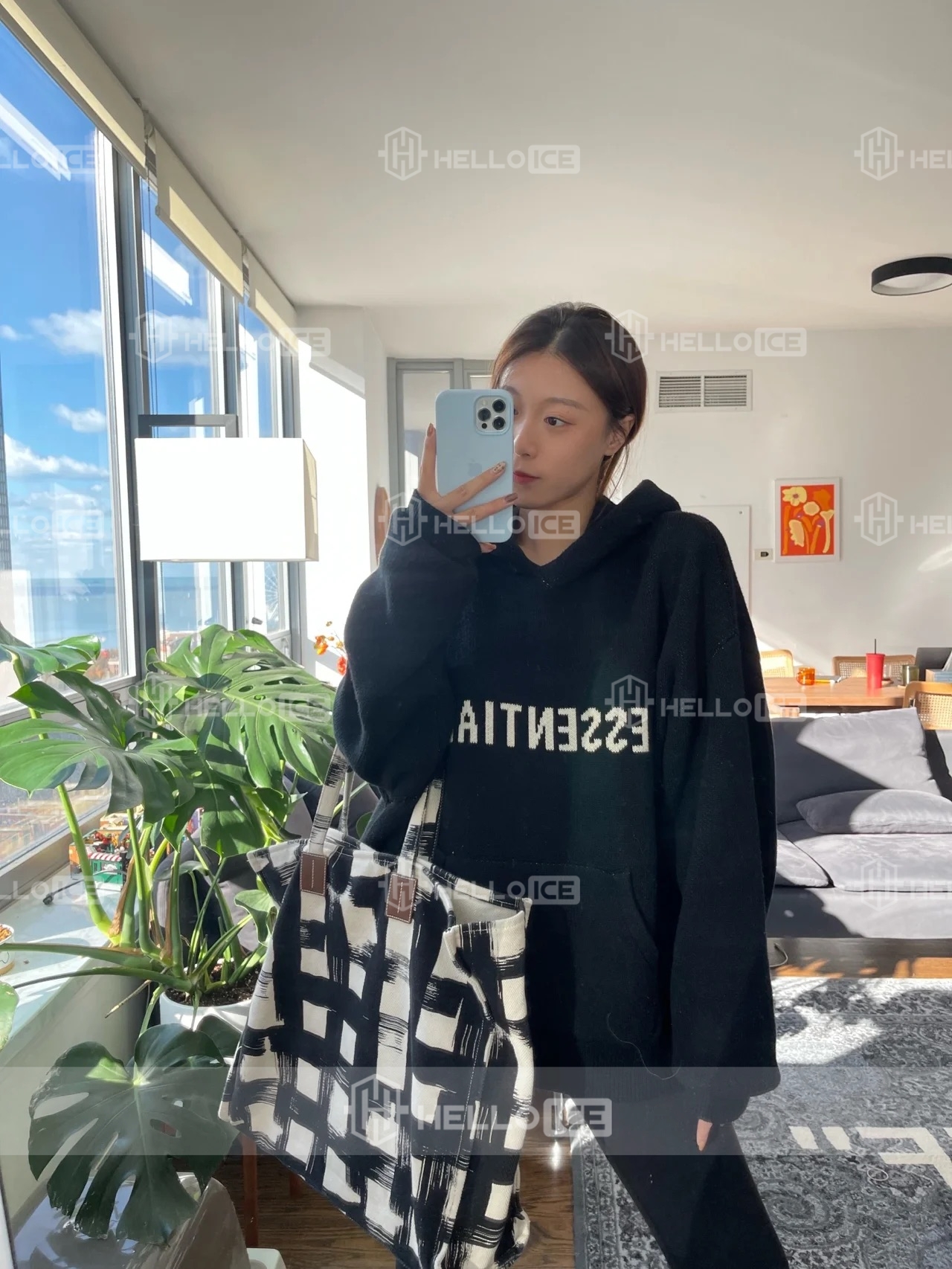 Helloice Review Image