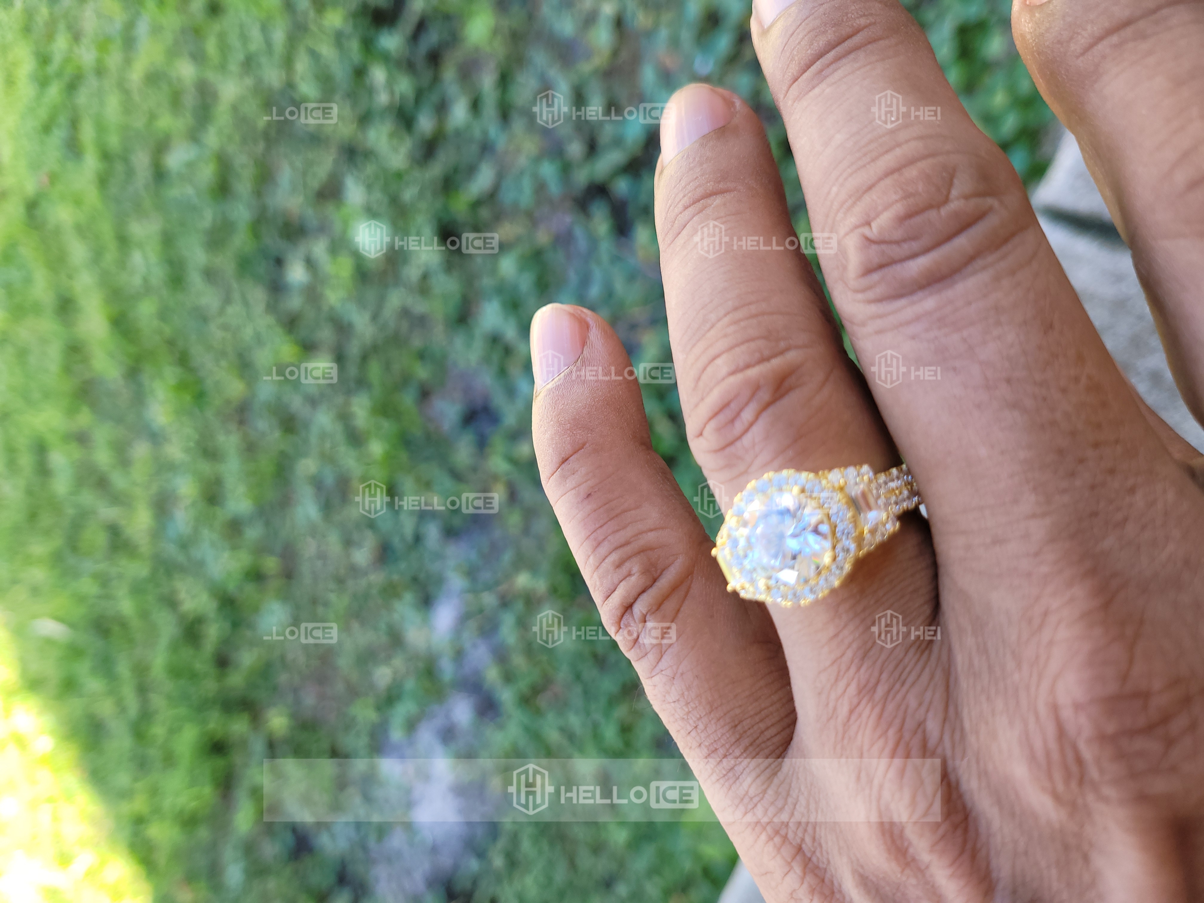 Helloice Review Image