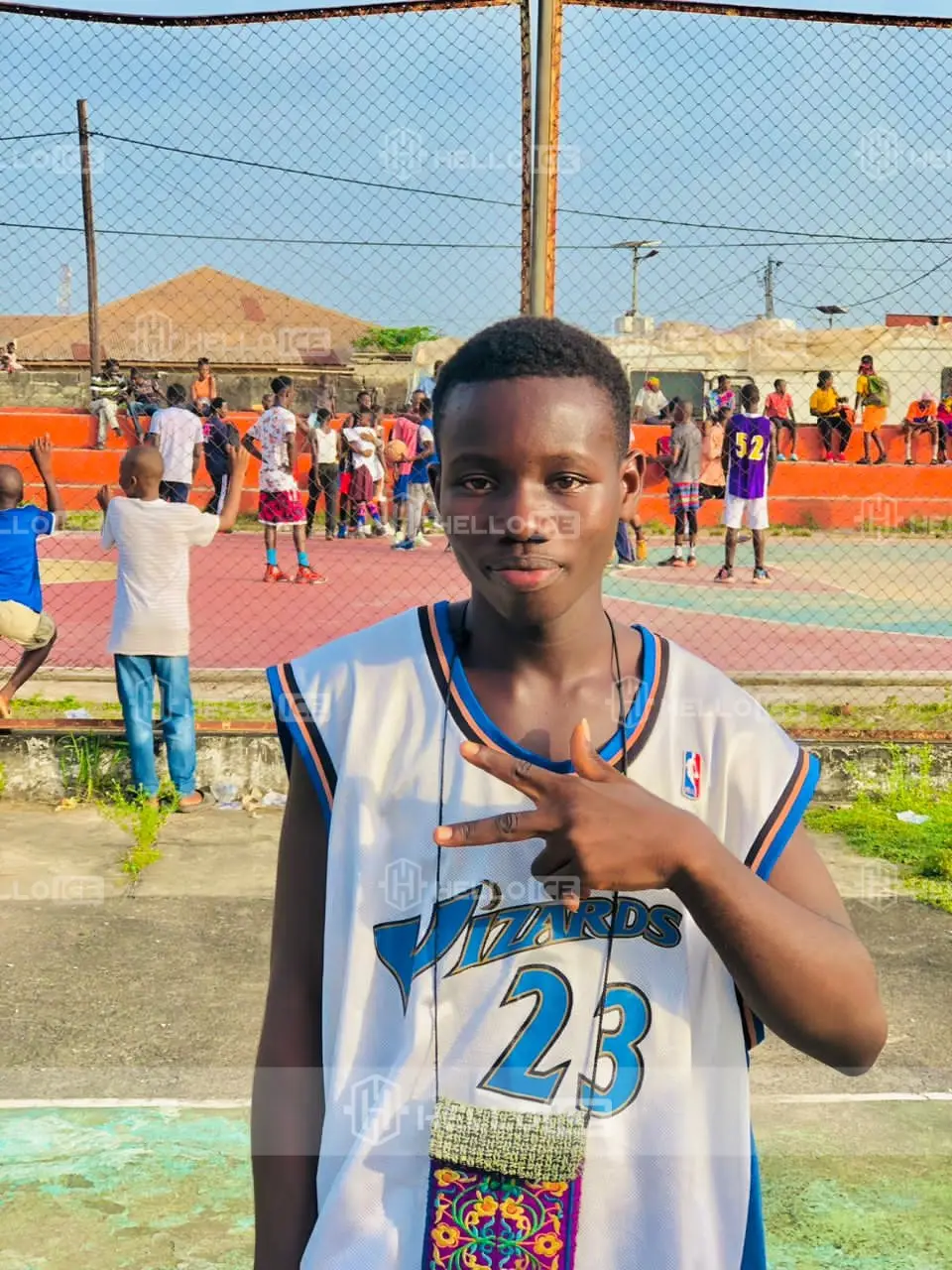 Helloice Review Image