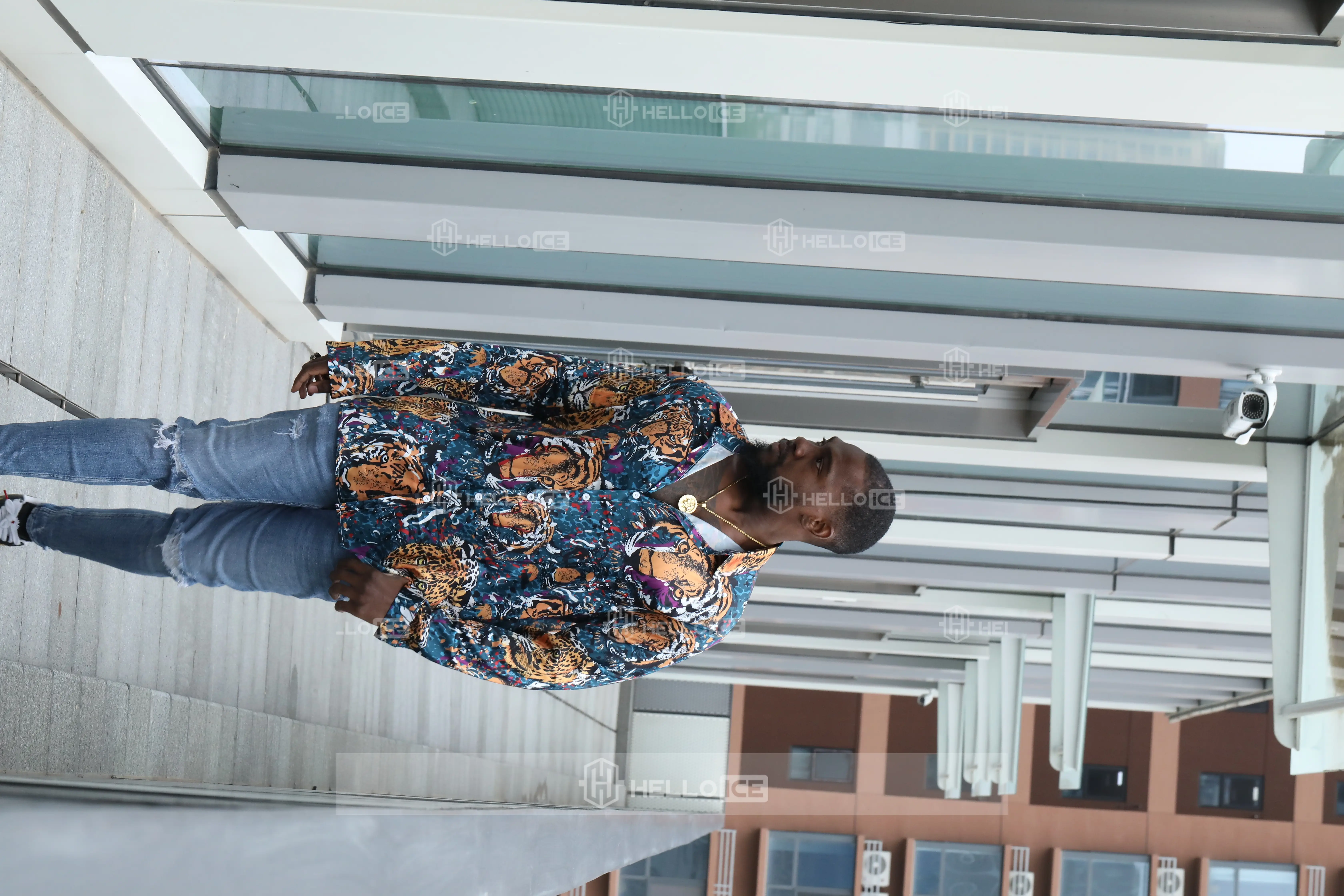 Helloice Review Image