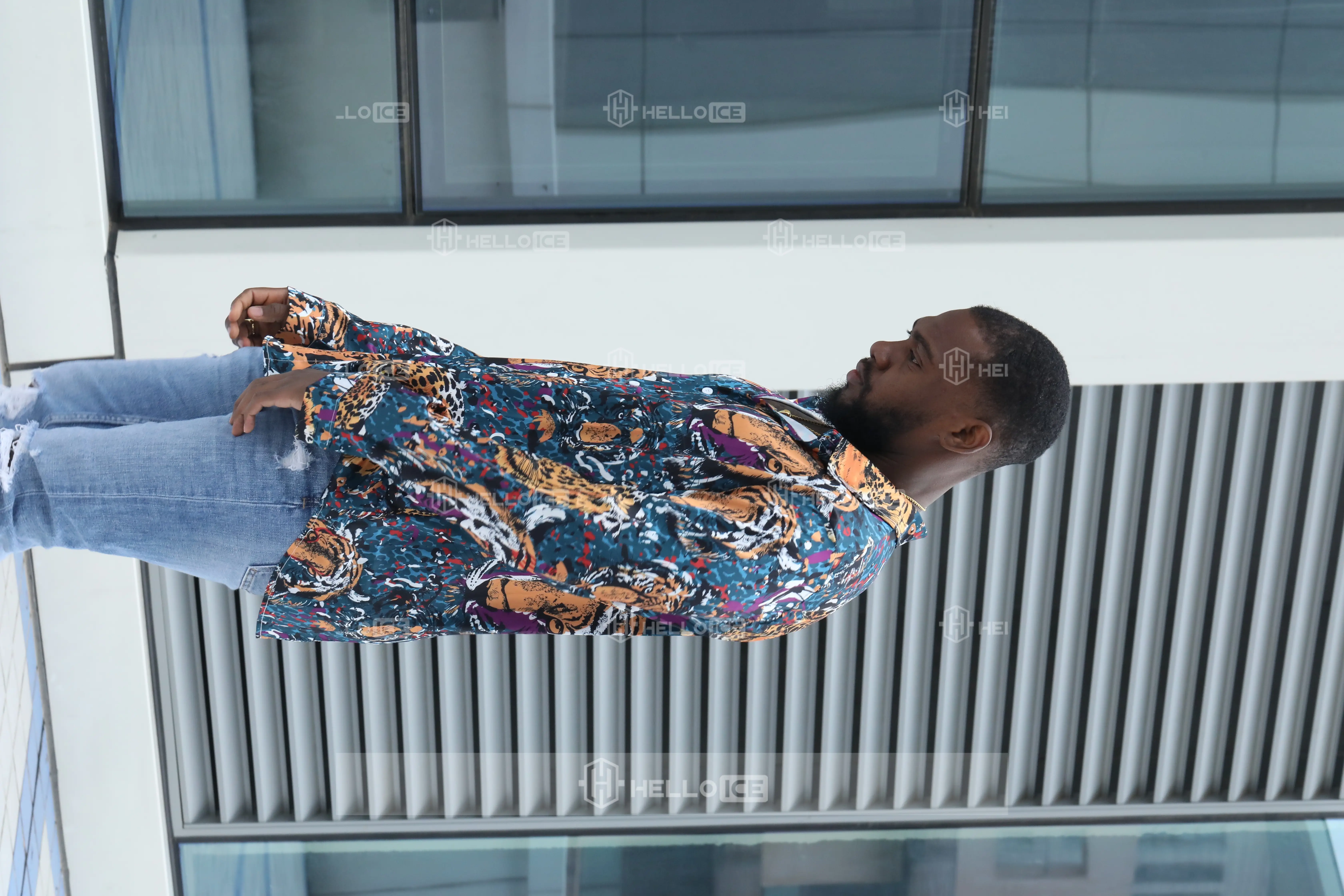 Helloice Review Image