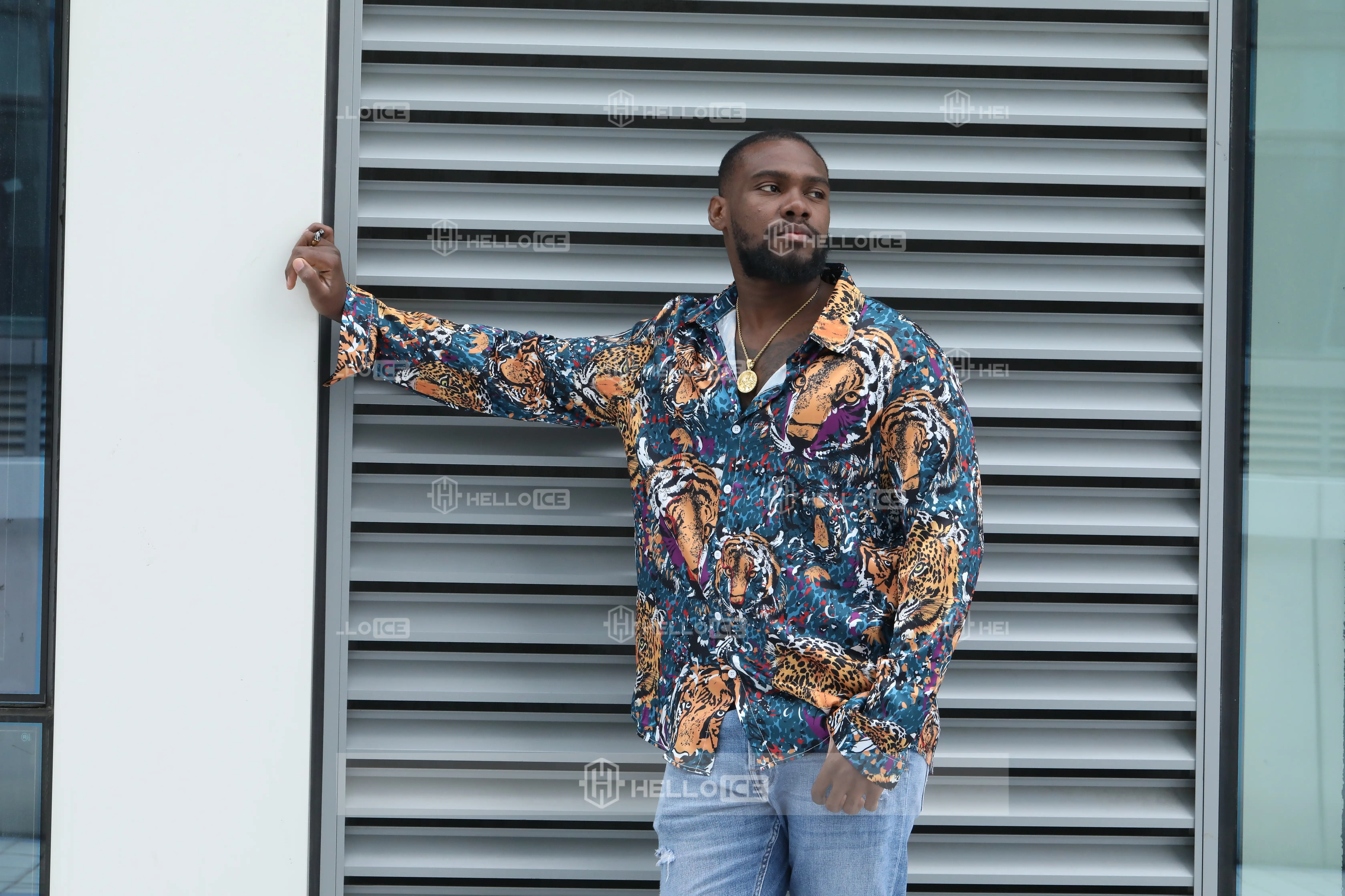 Helloice Review Image