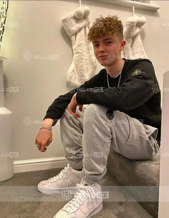 Helloice Review Image