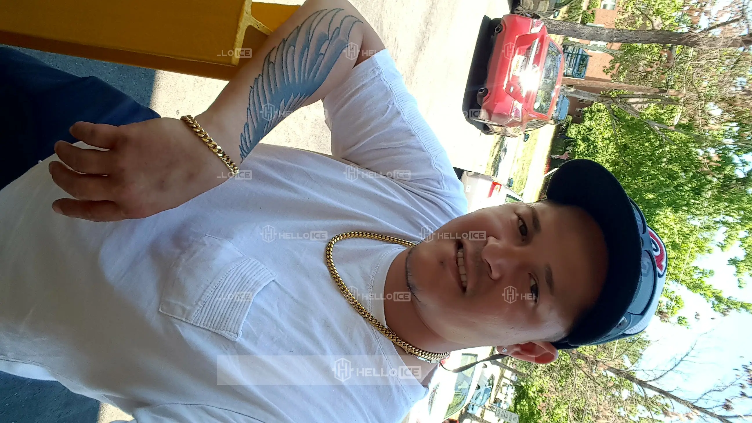 Helloice Review Image