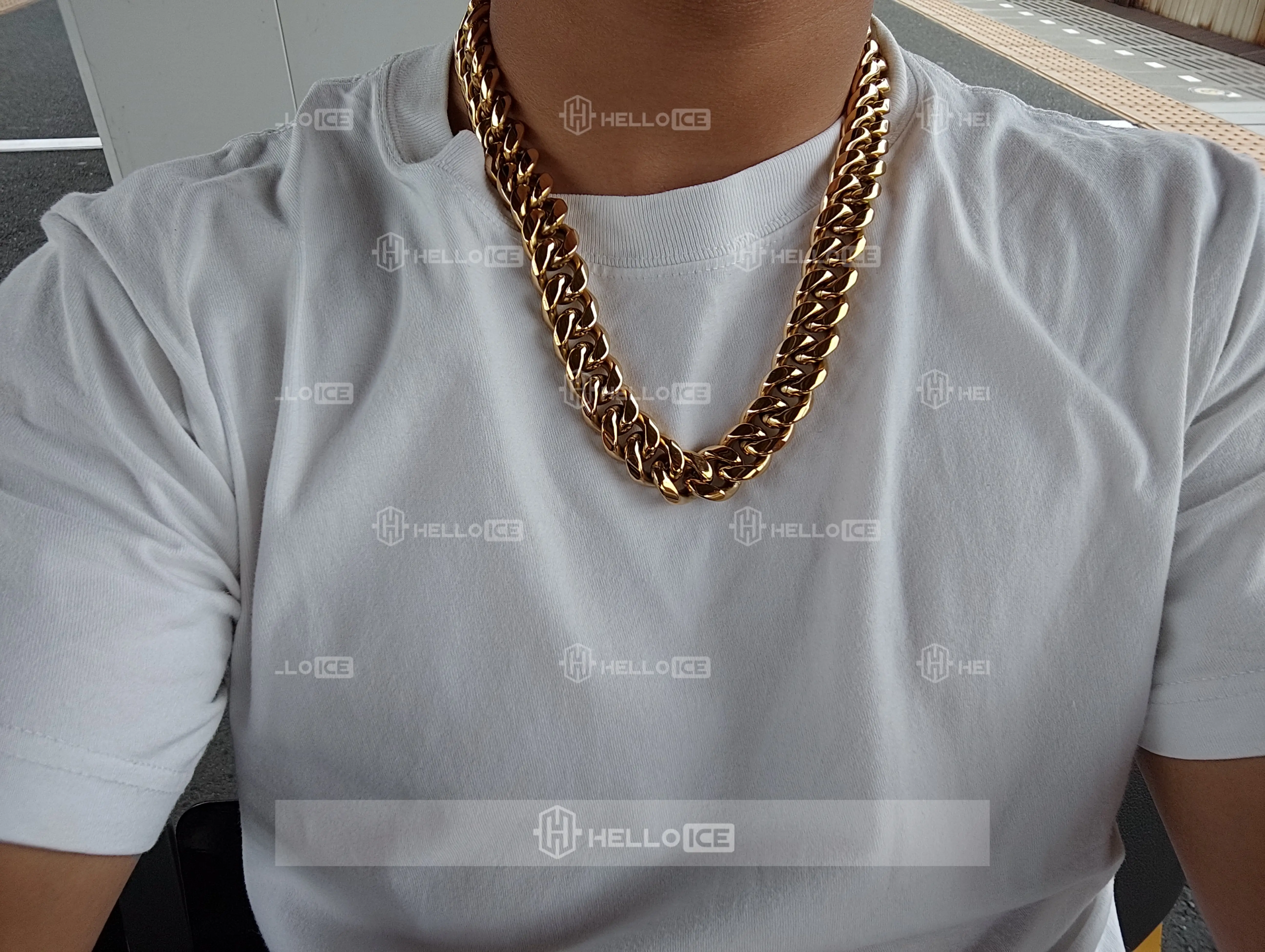 Helloice Review Image