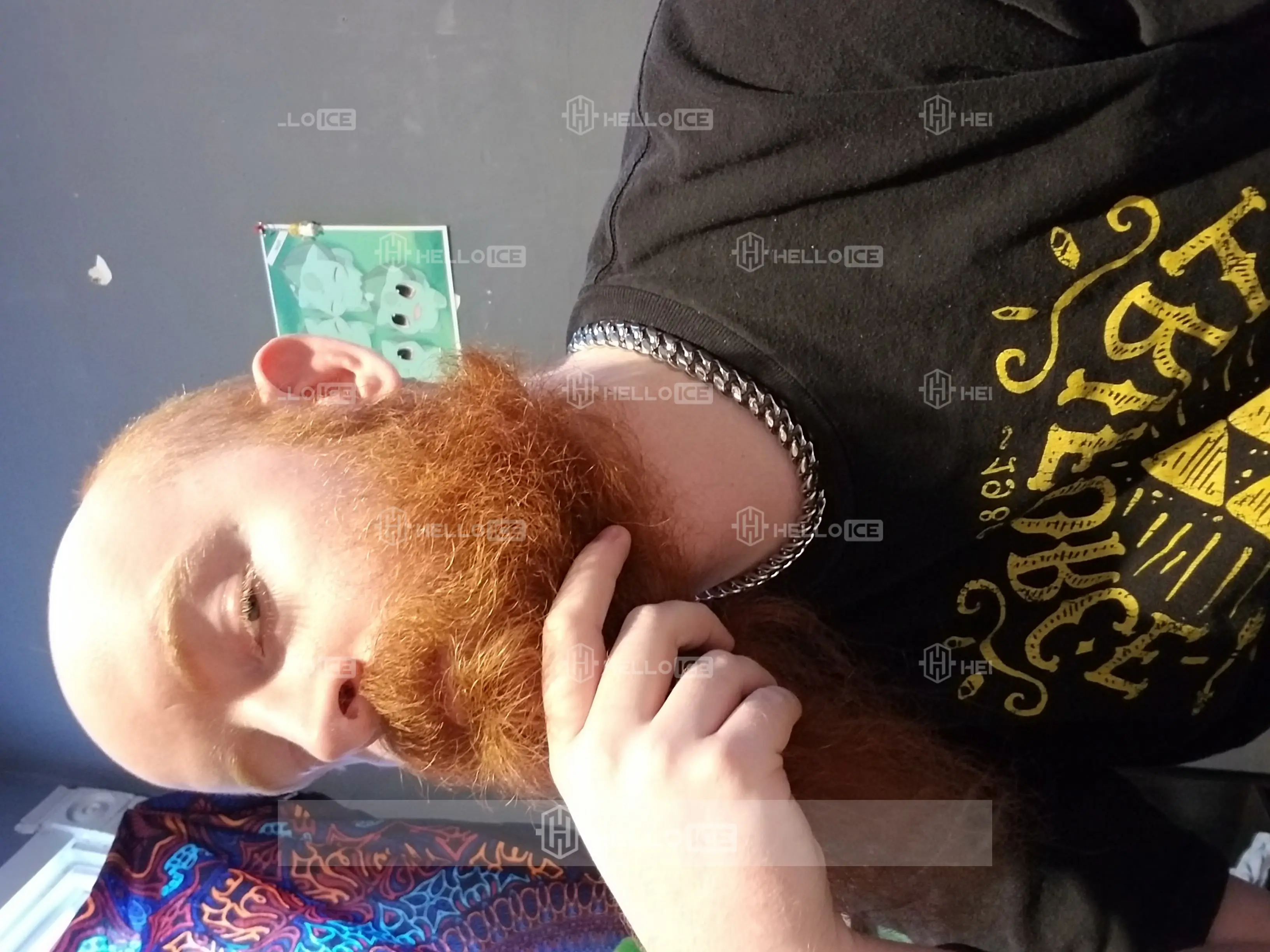 Helloice Review Image