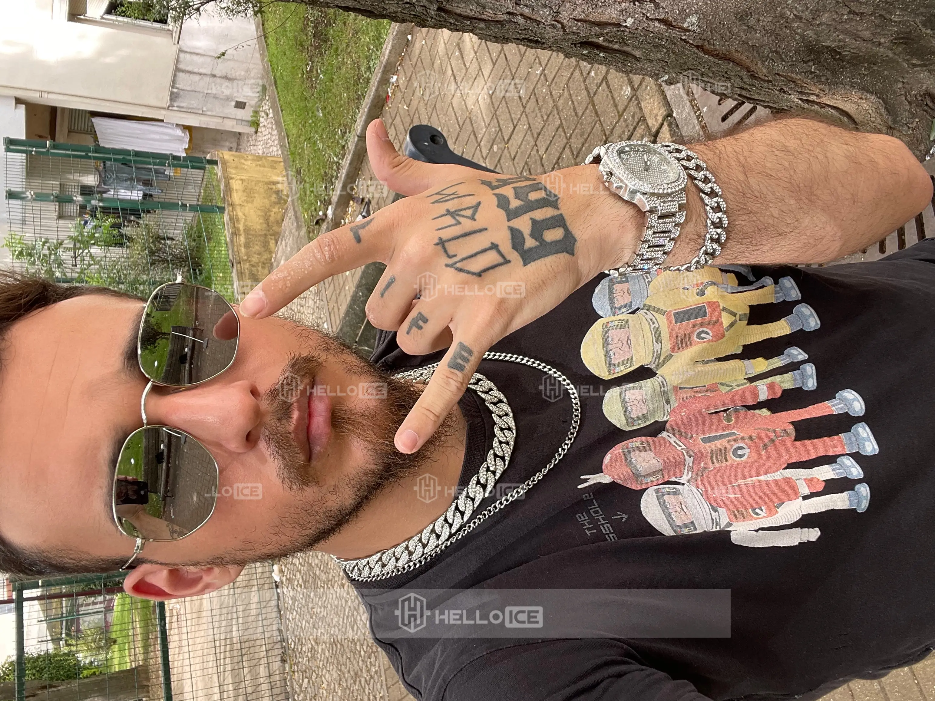 Helloice Review Image