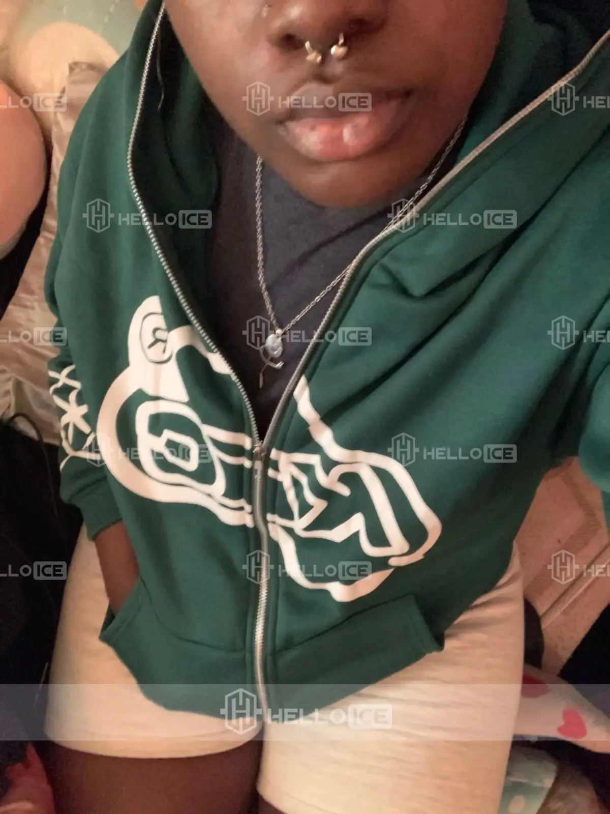 Helloice Review Image