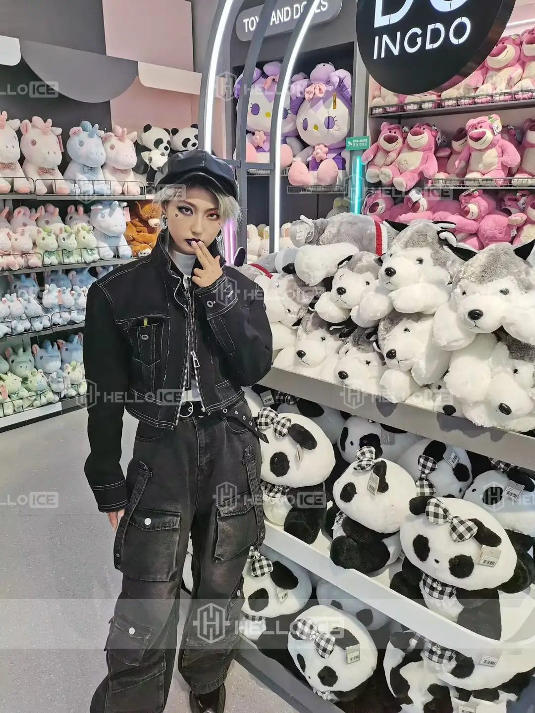 Helloice Review Image