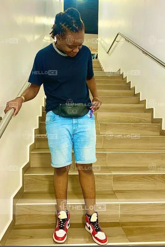 Helloice Review Image