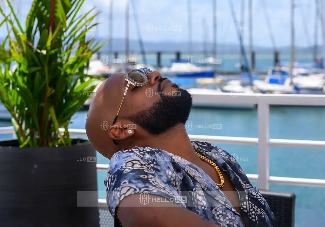 Helloice Review Image