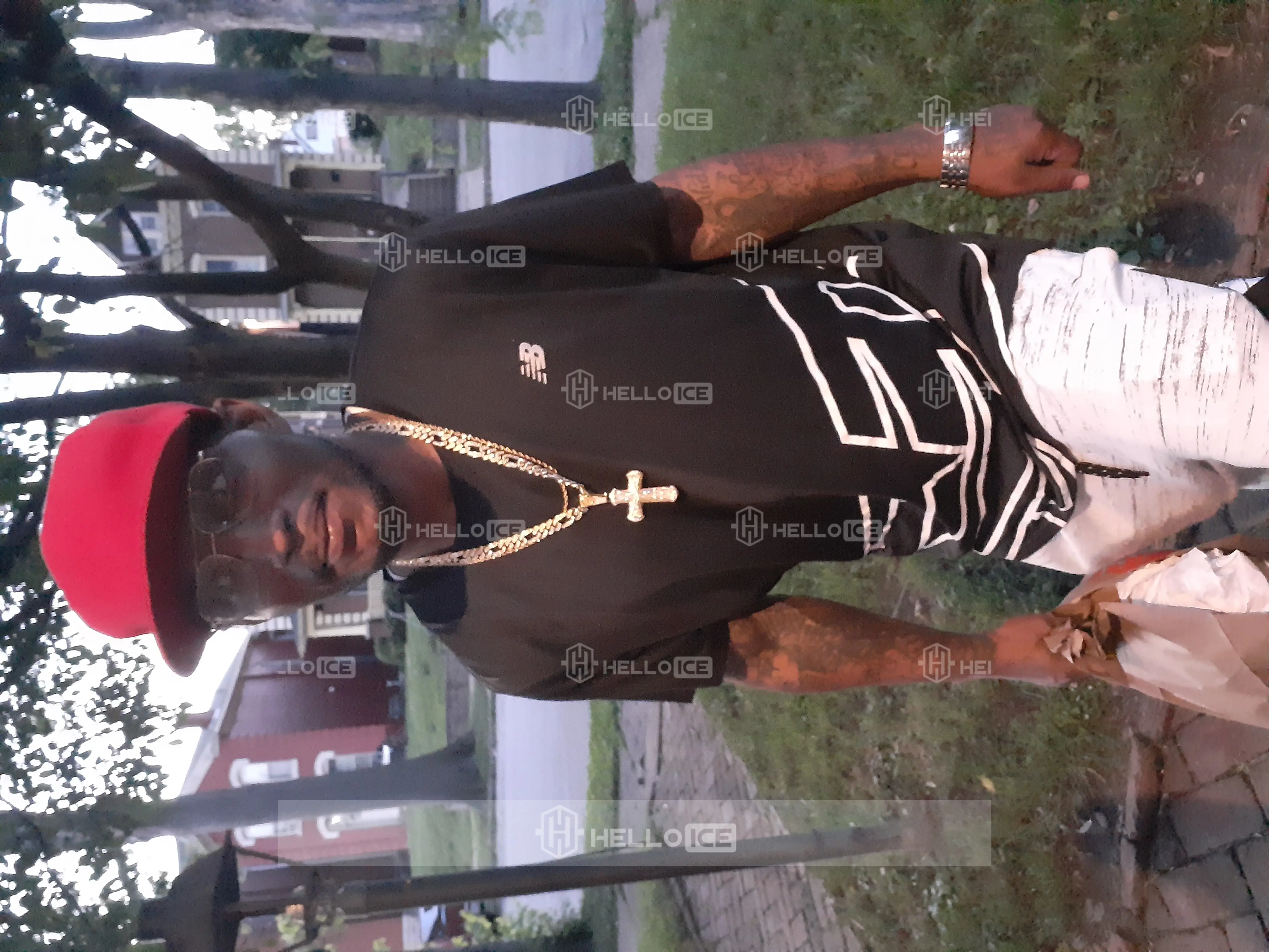 Helloice Review Image