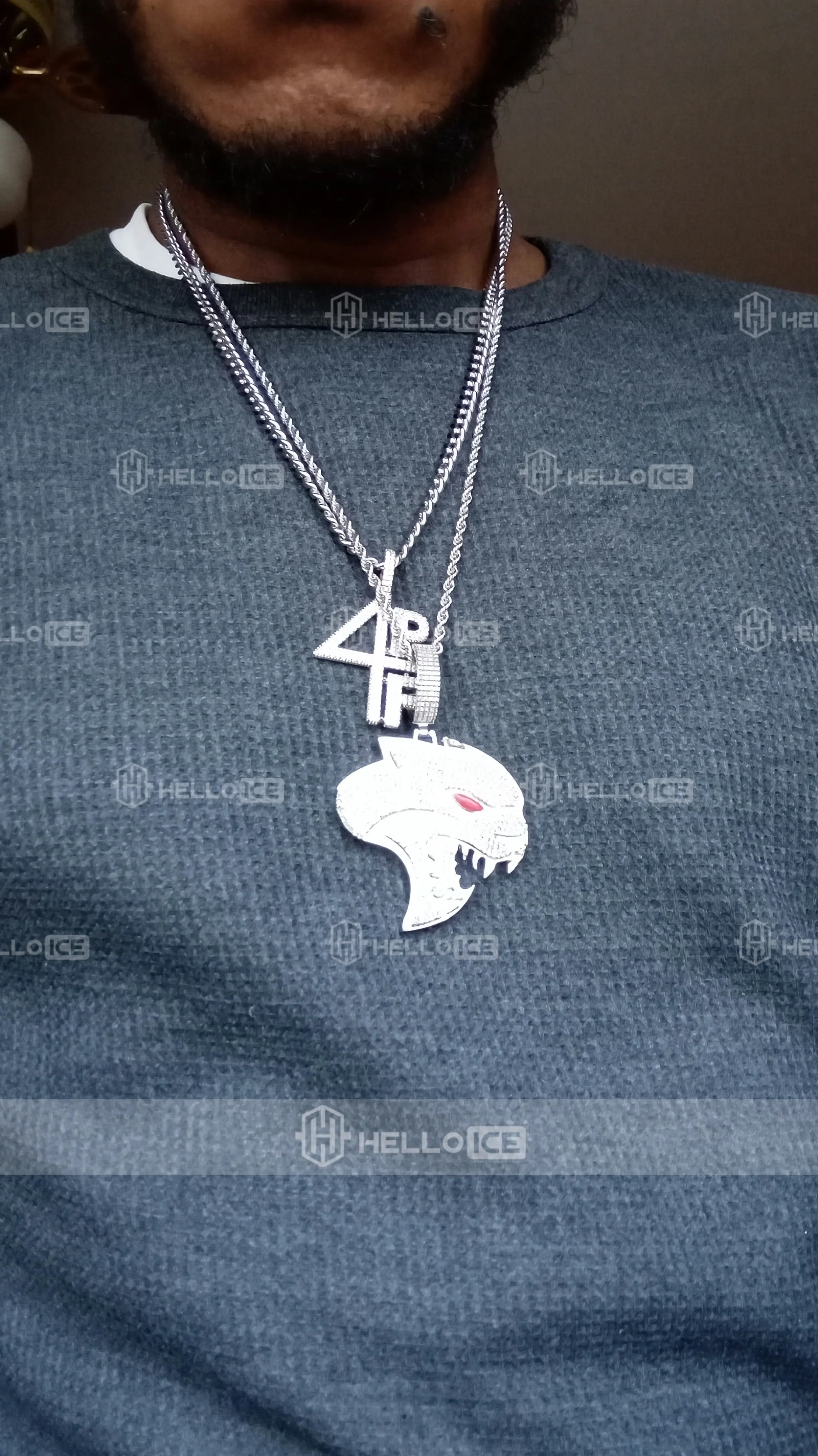 Helloice Review Image