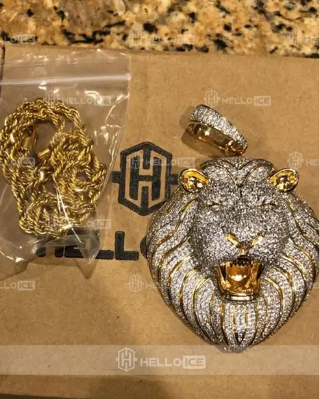 Helloice Review Image