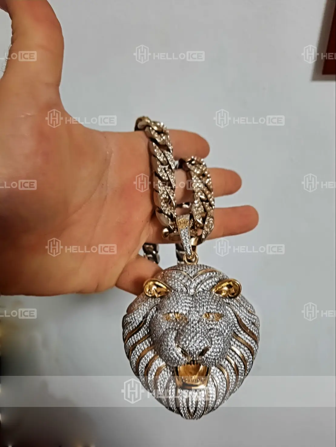 Helloice Review Image