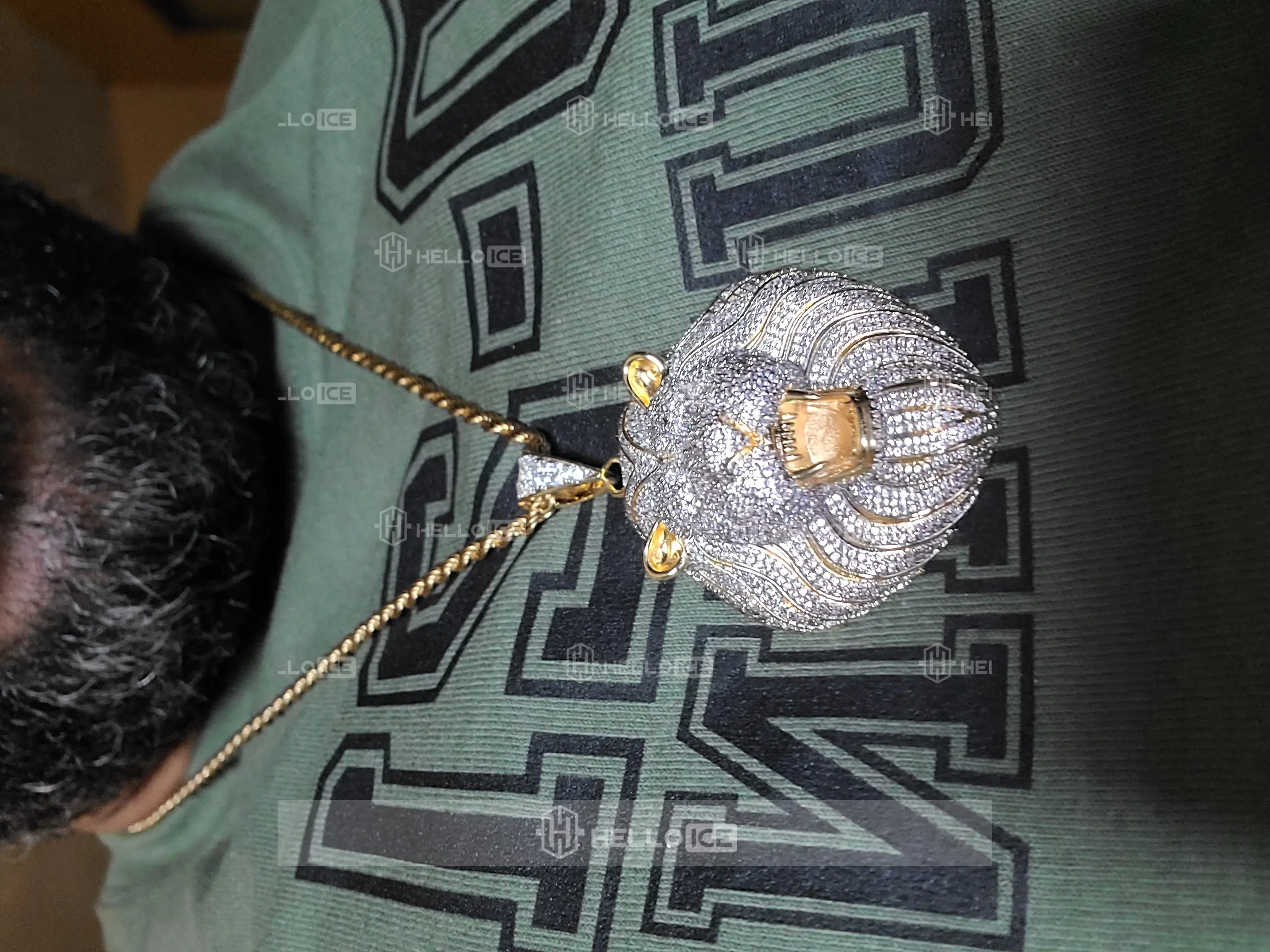 Helloice Review Image