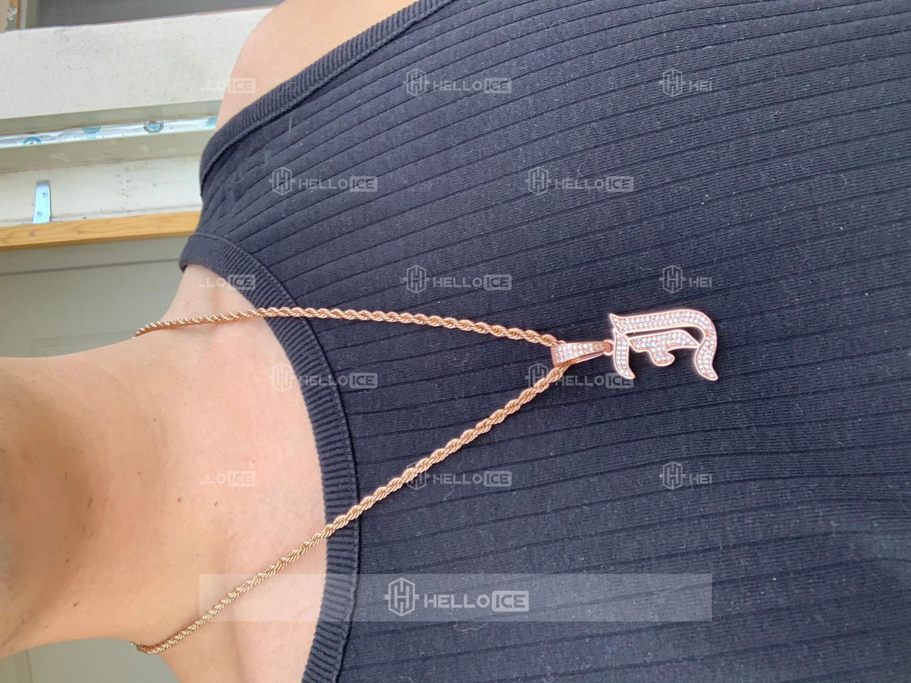 Helloice Review Image