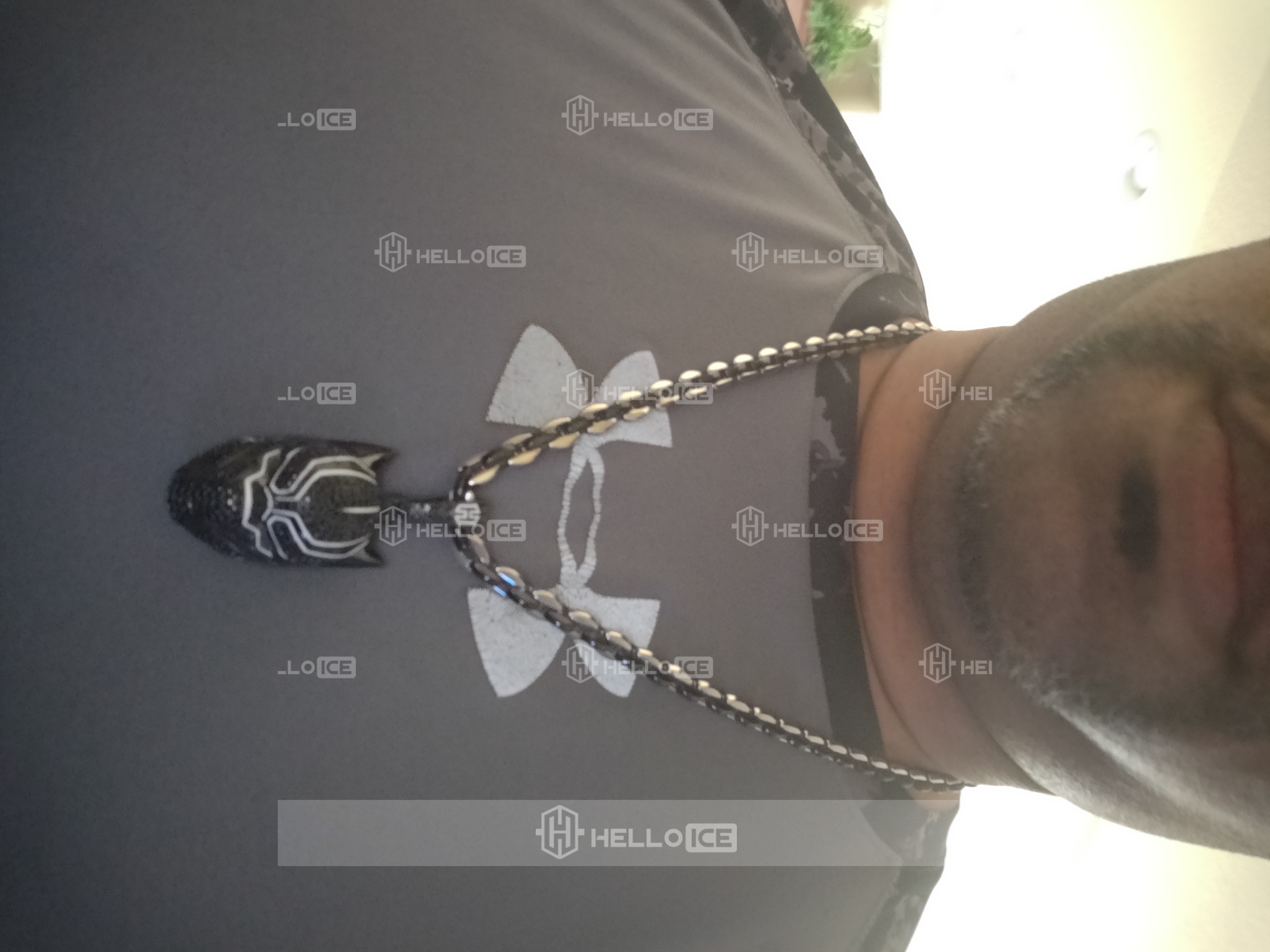 Helloice Review Image