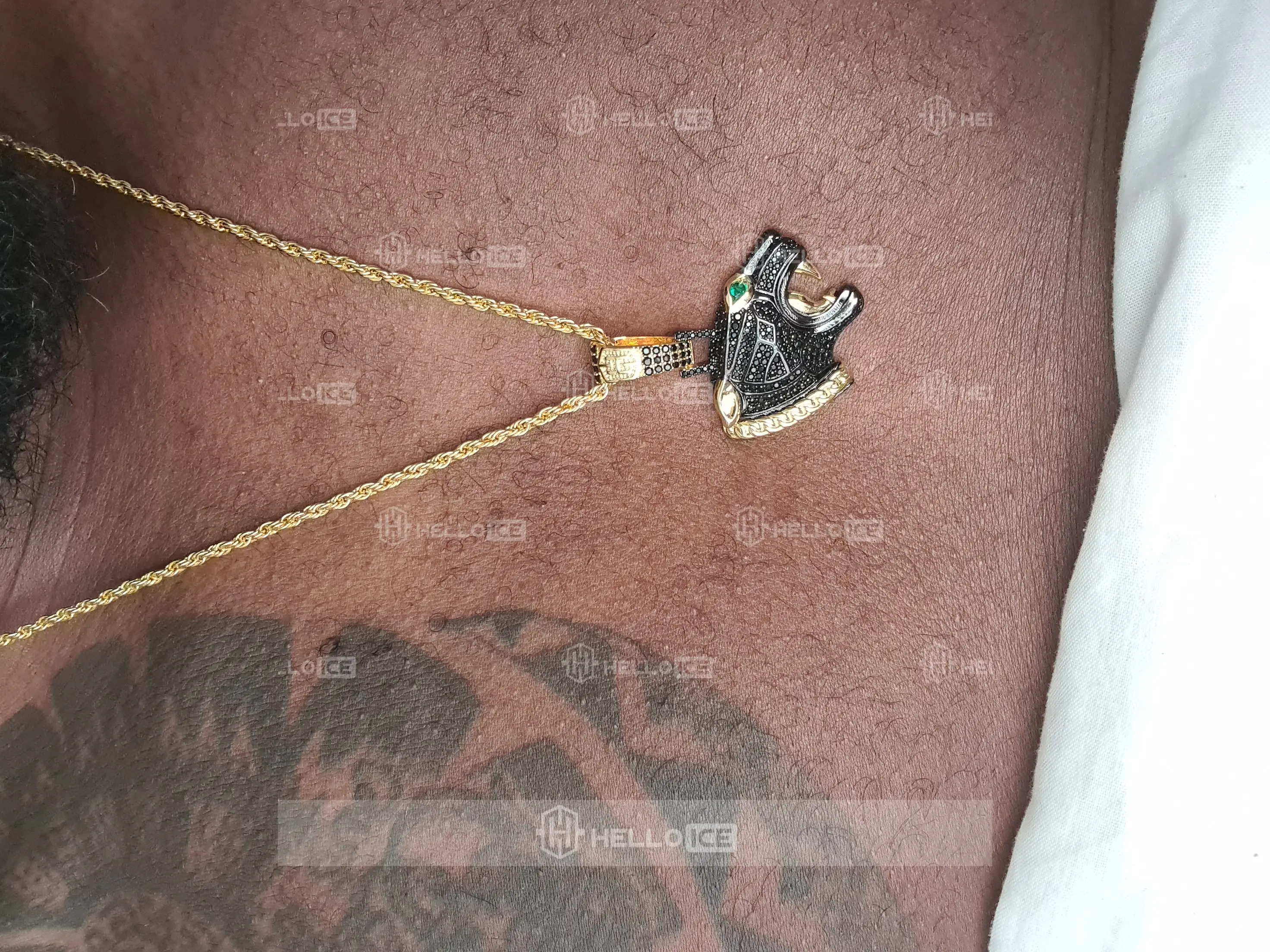 Helloice Review Image