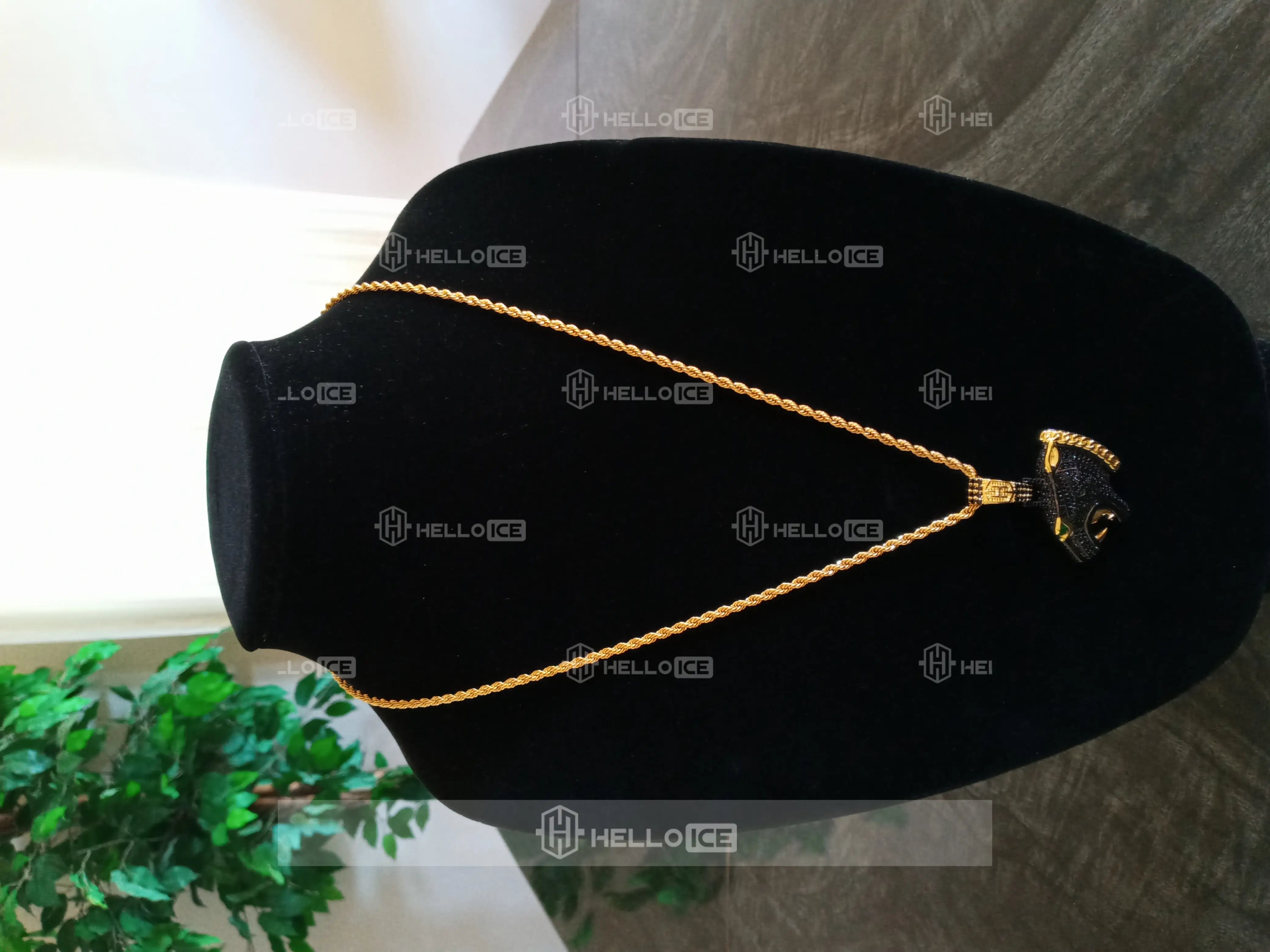 Helloice Review Image