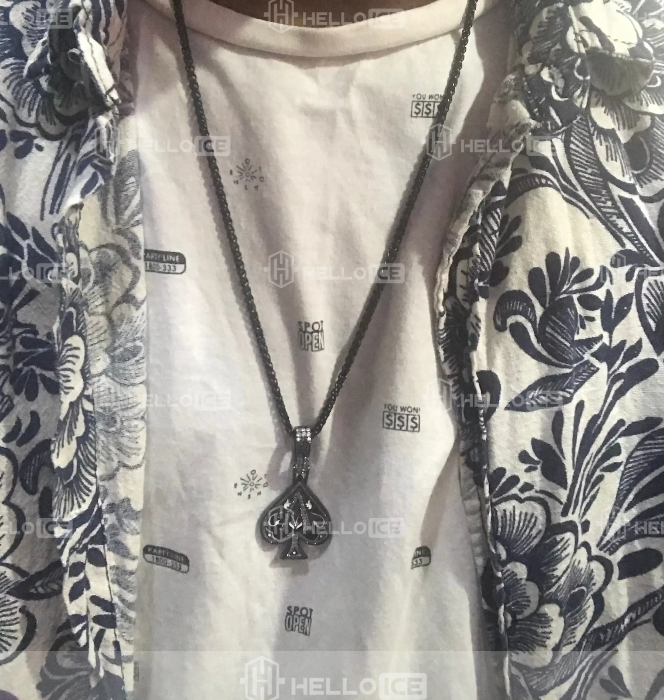 Helloice Review Image