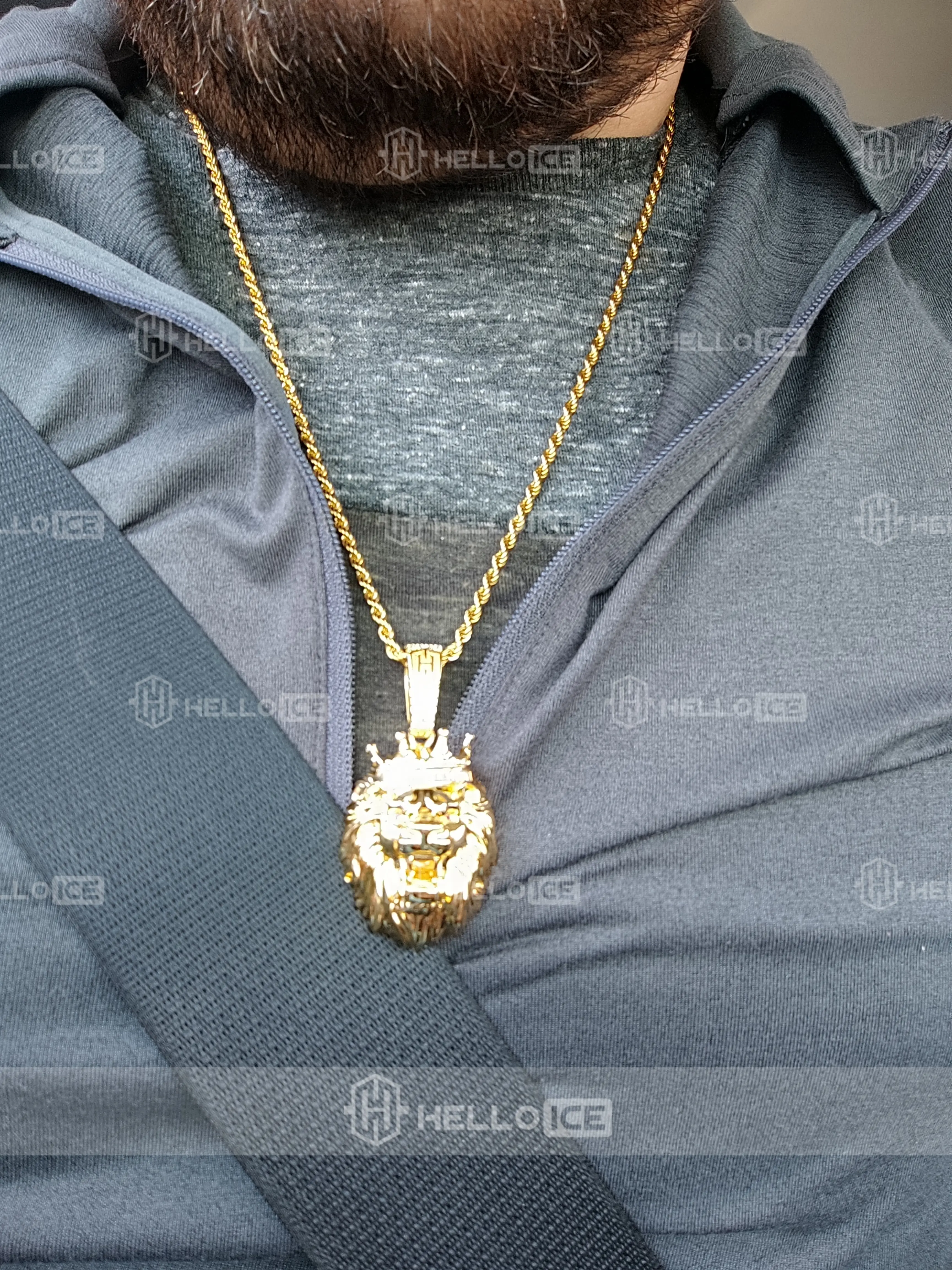 Helloice Review Image