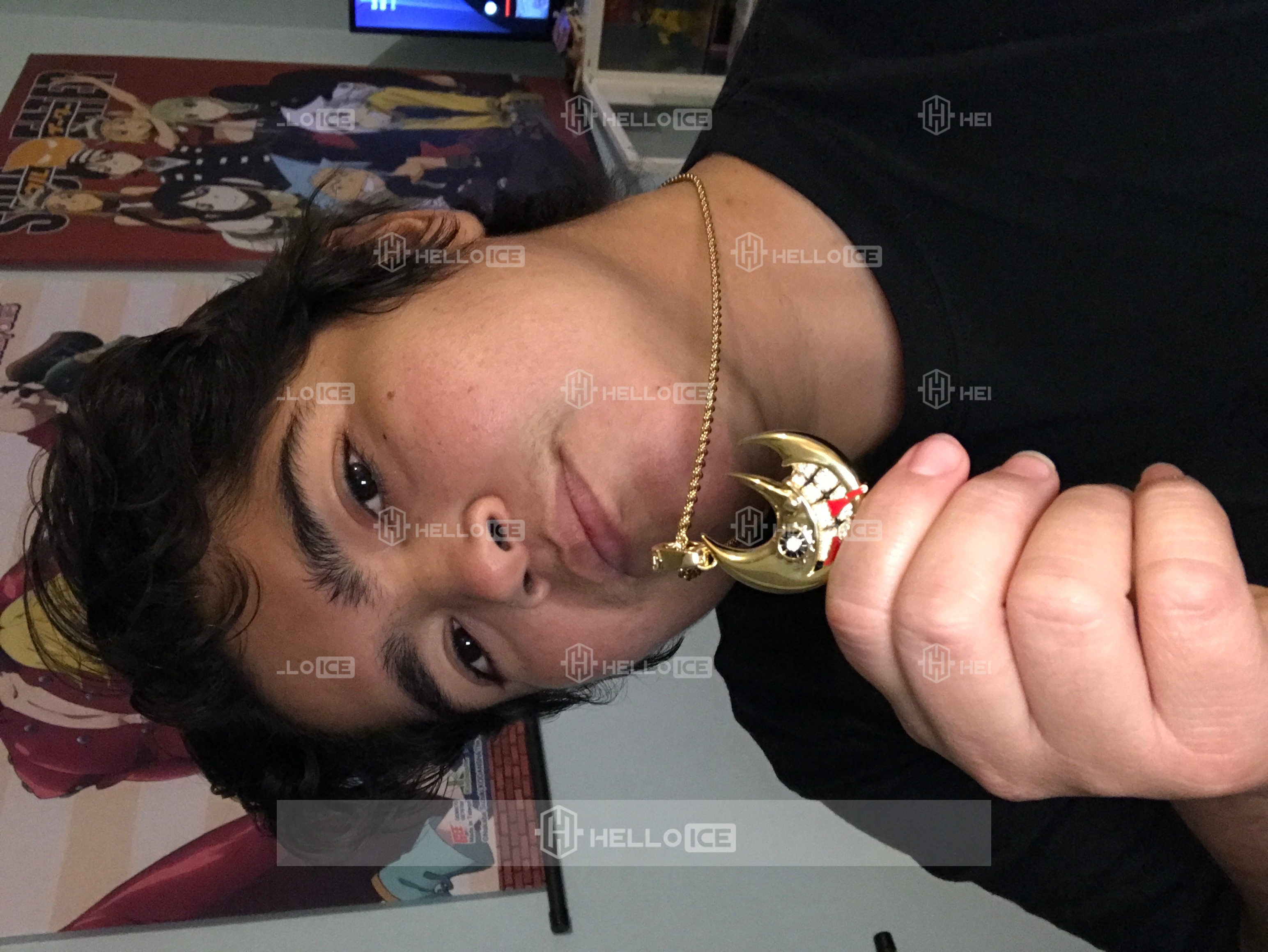 Helloice Review Image