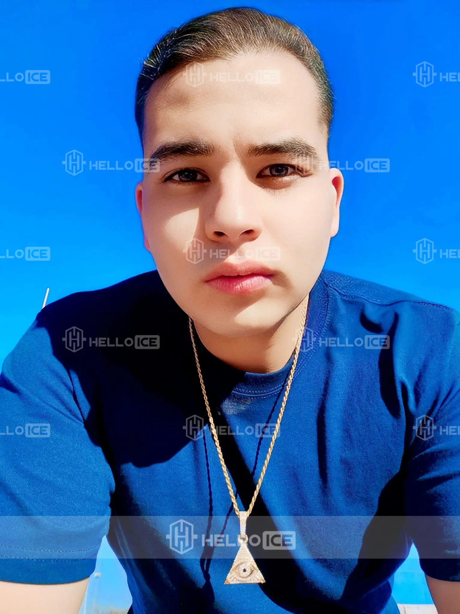 Helloice Review Image