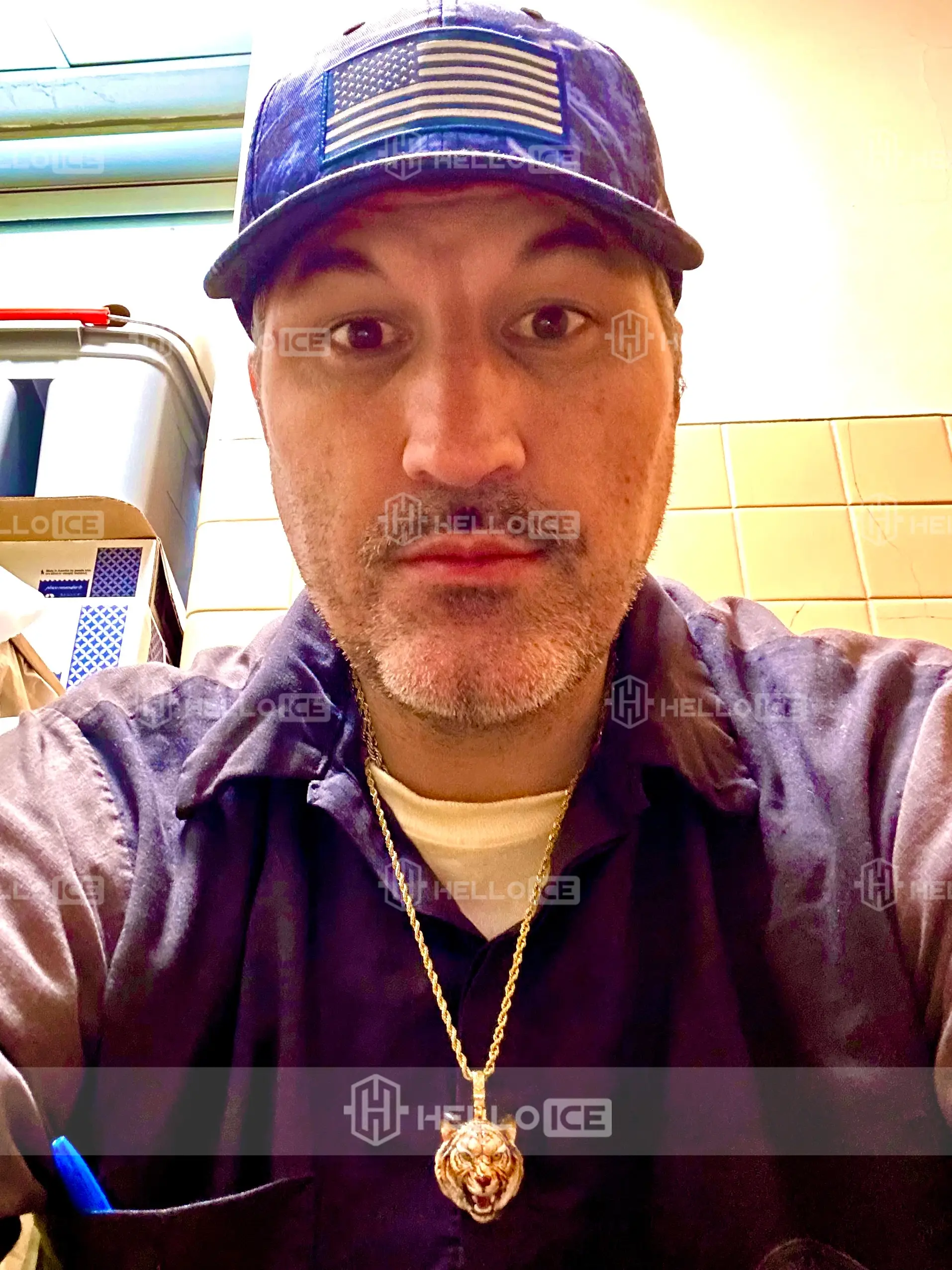 Helloice Review Image