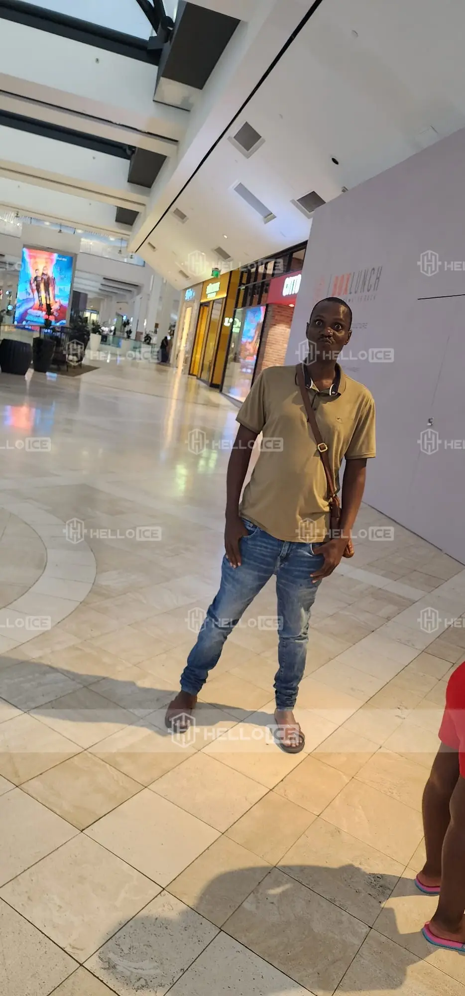 Helloice Review Image