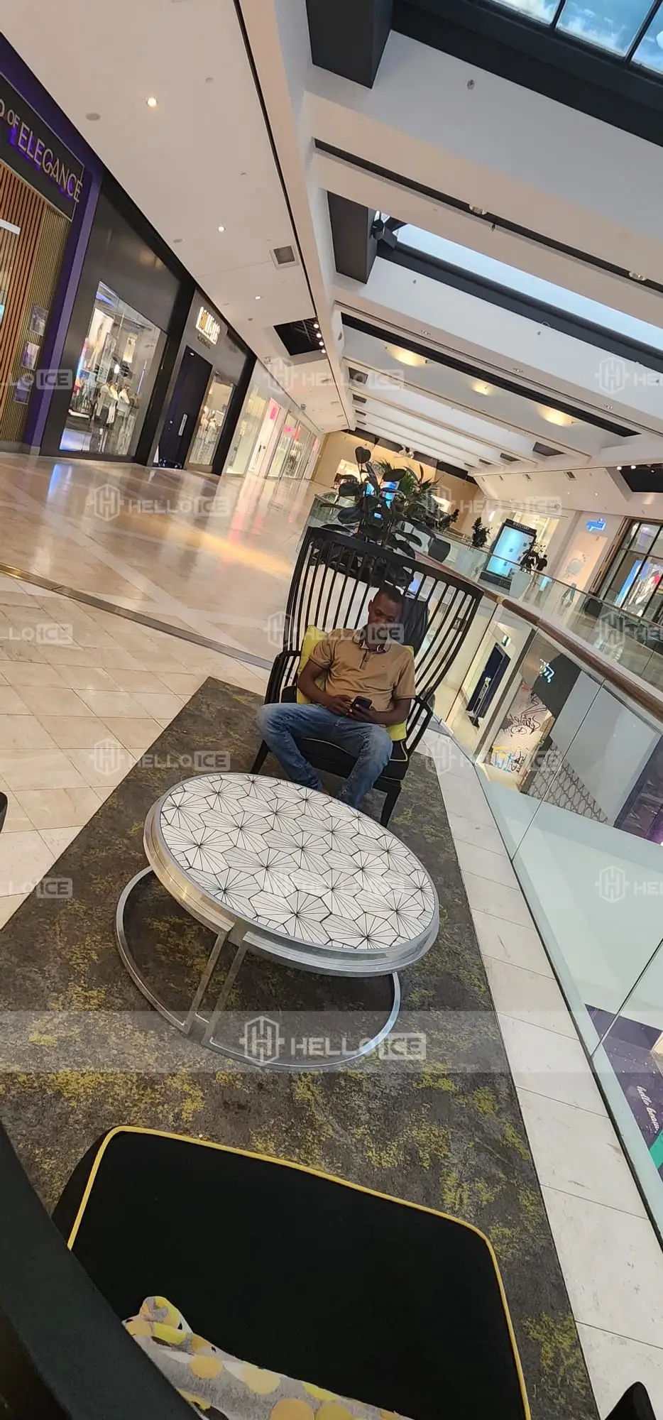 Helloice Review Image