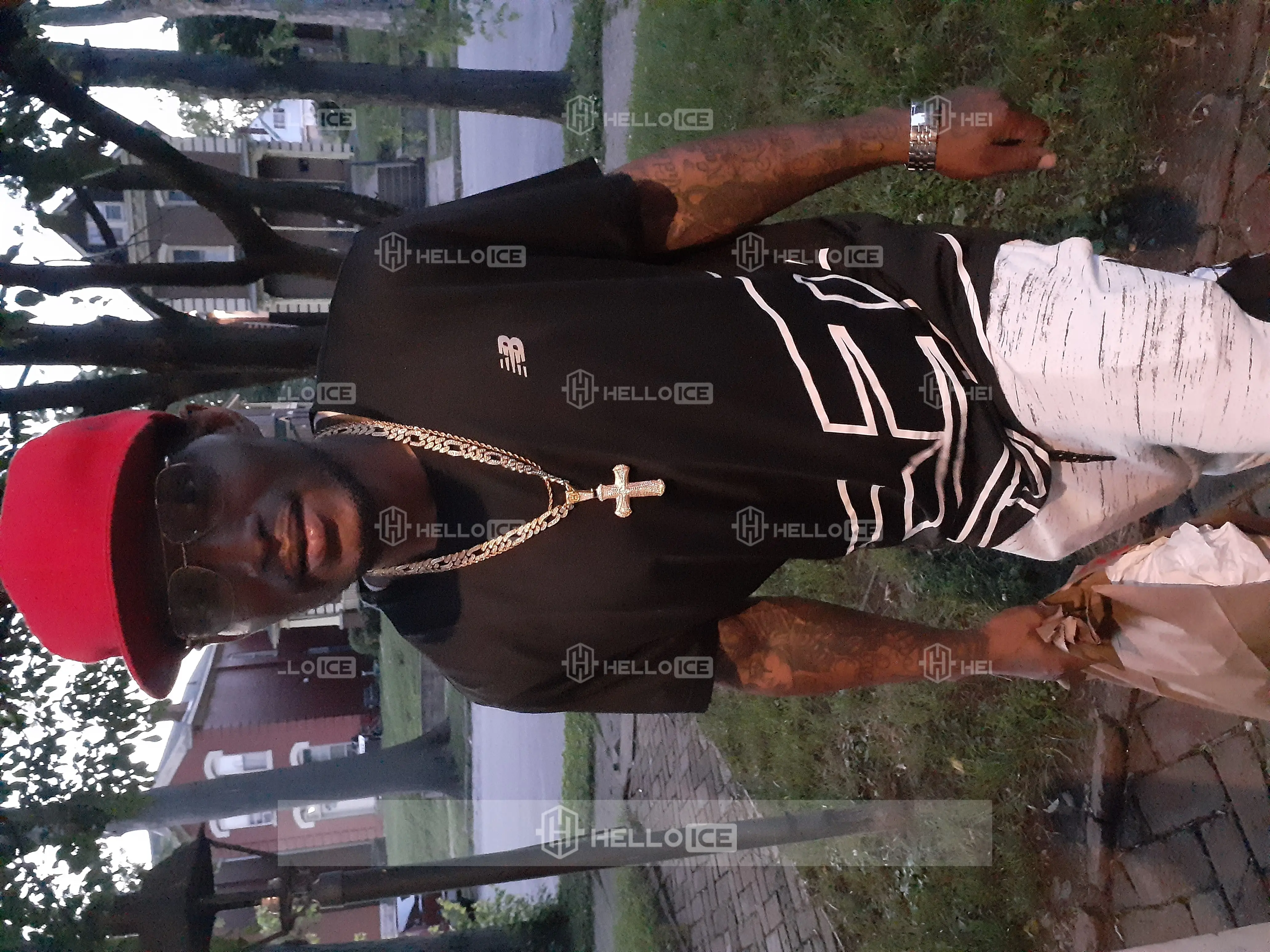 Helloice Review Image