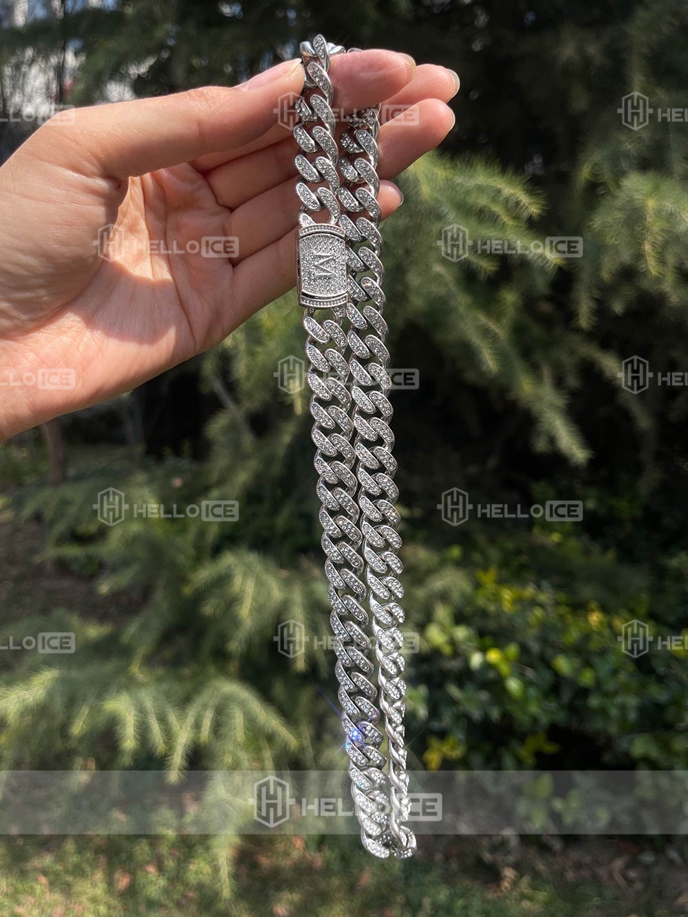 Helloice Review Image