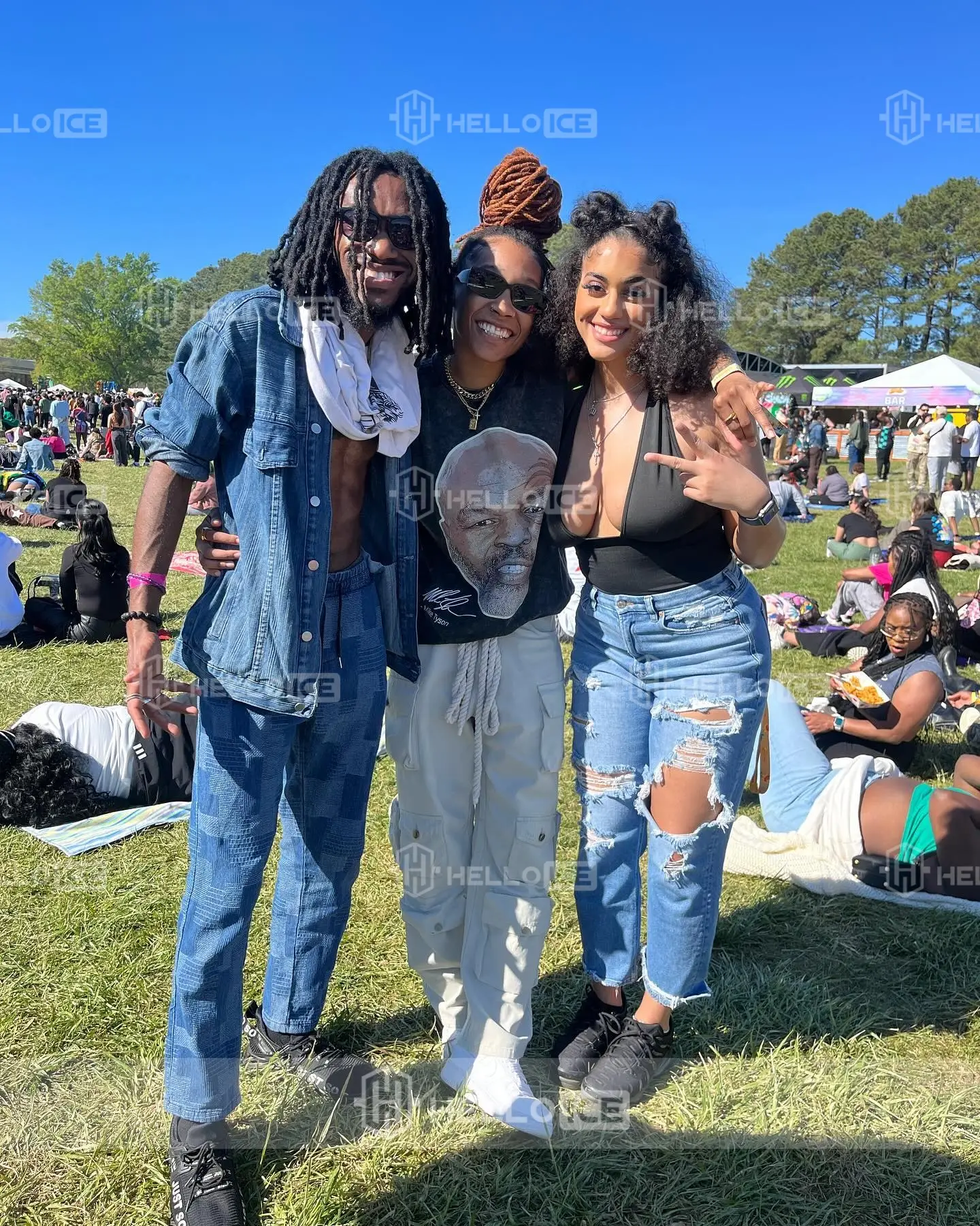 Helloice Review Image