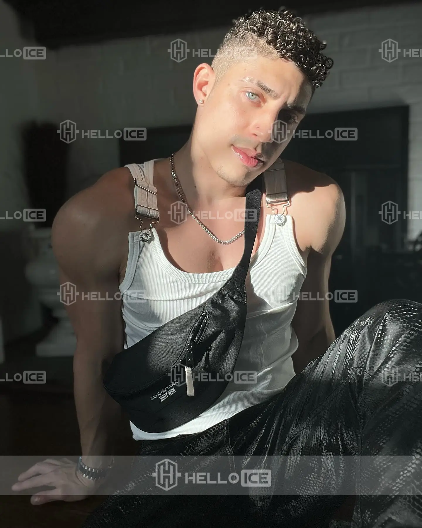 Helloice Review Image