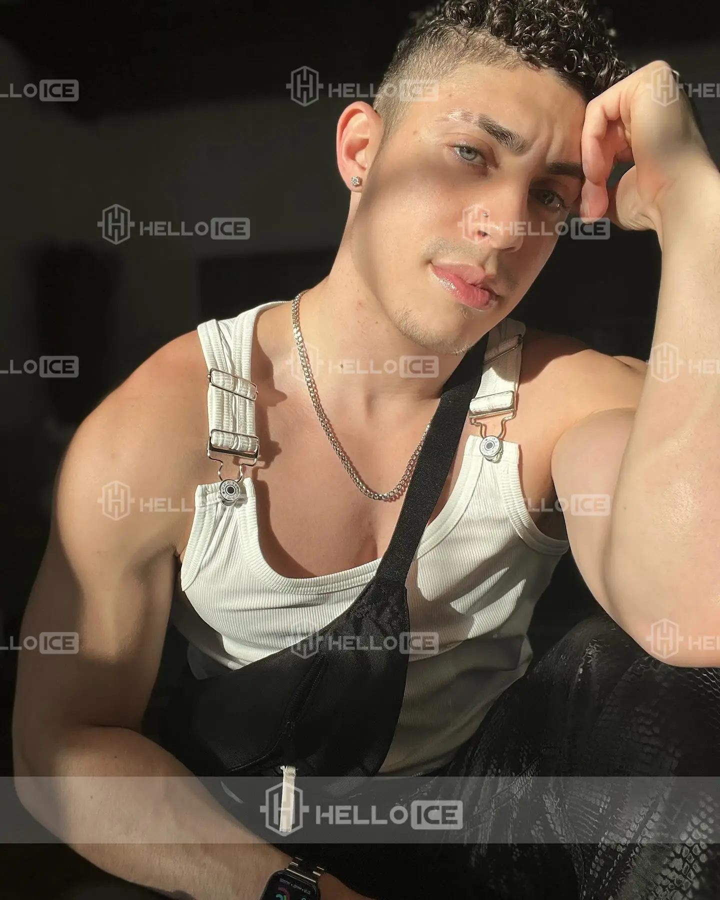 Helloice Review Image