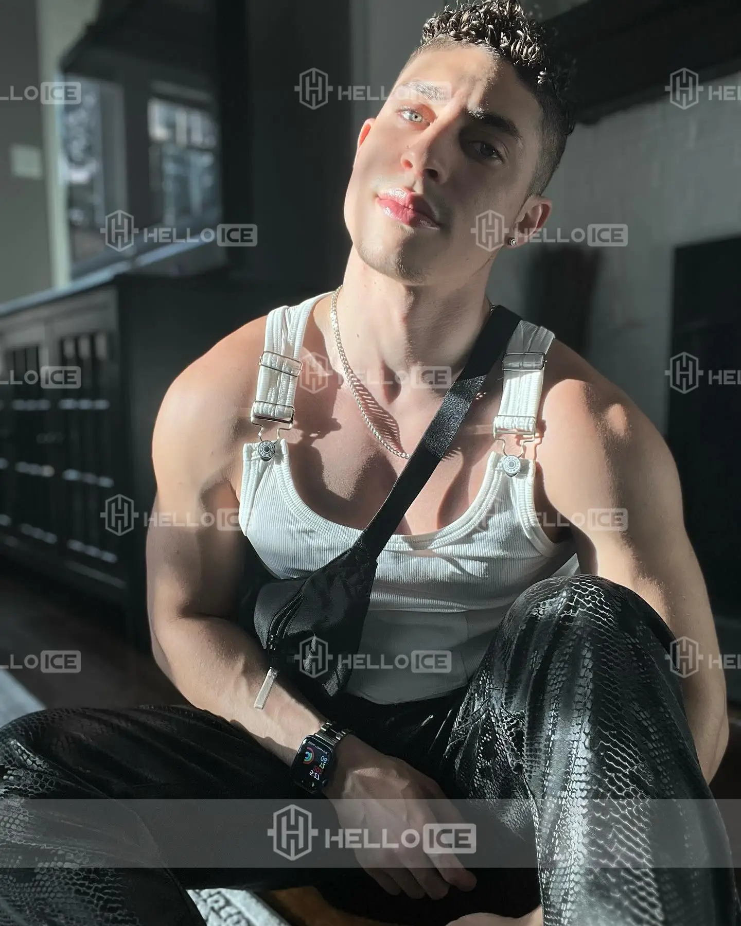 Helloice Review Image