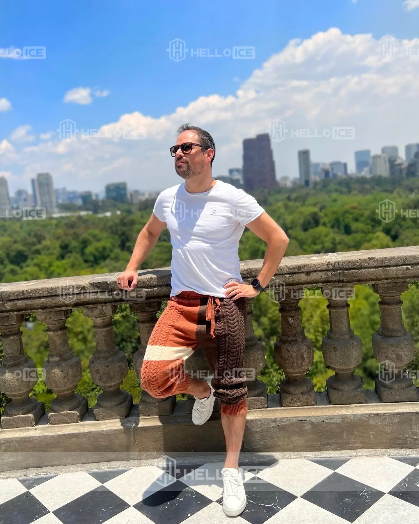 Helloice Review Image