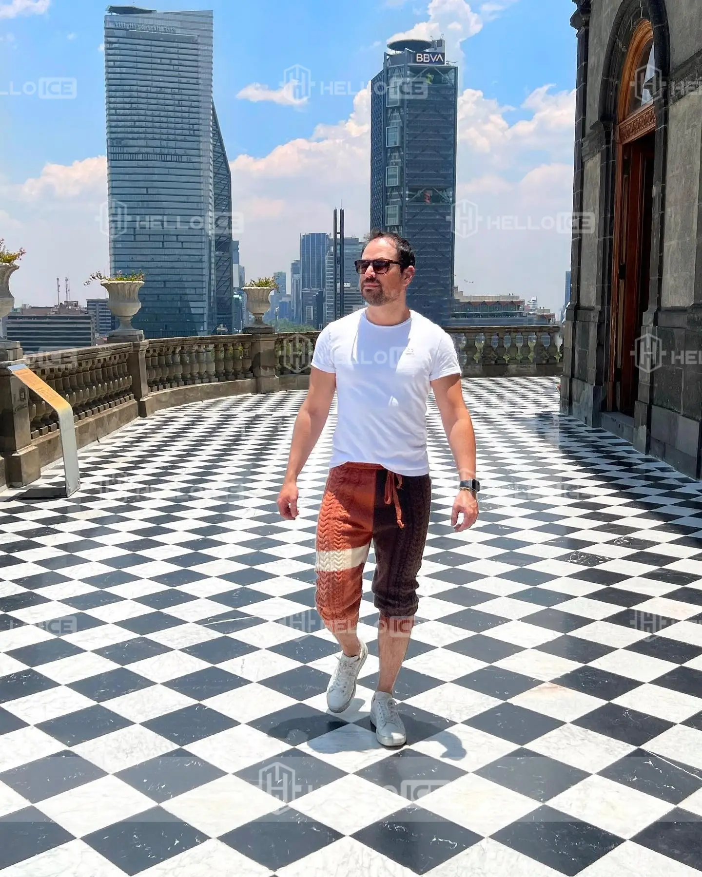 Helloice Review Image