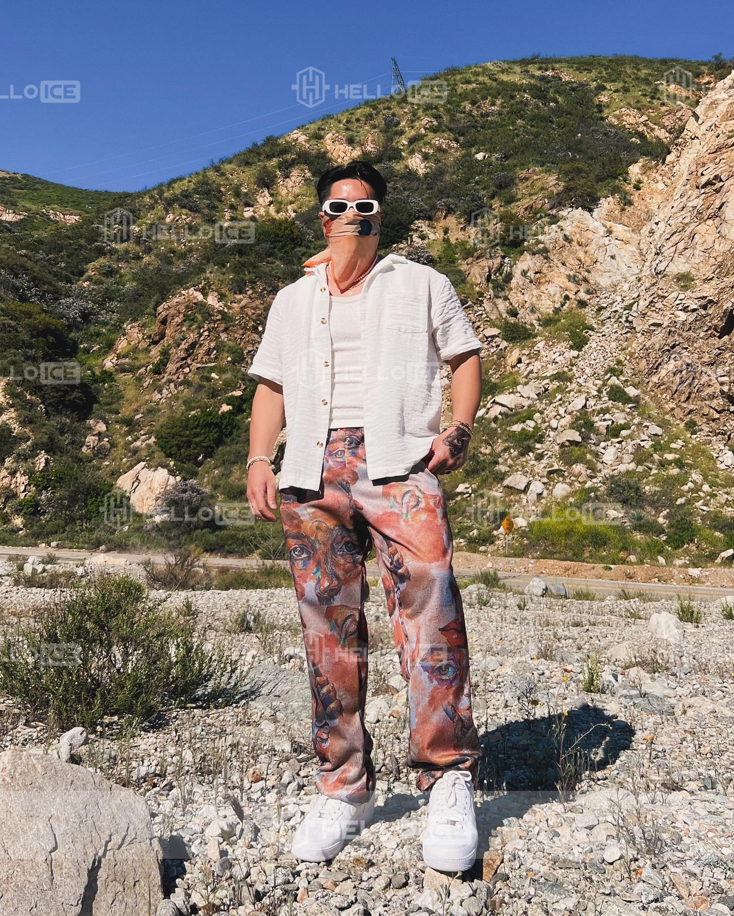 Helloice Review Image