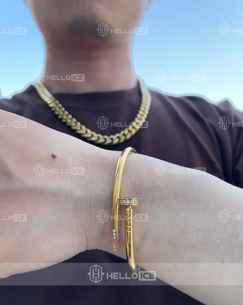 Helloice Review Image