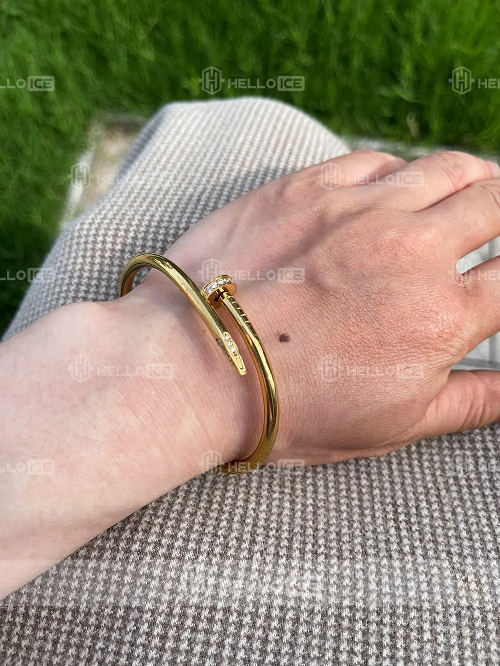 Helloice Review Image