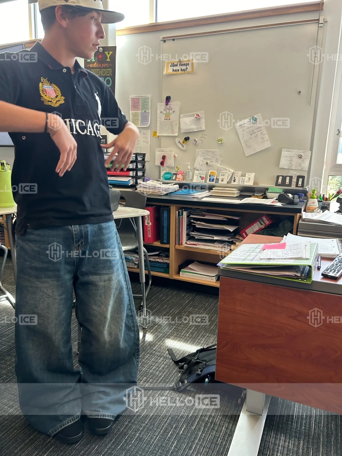 Helloice Review Image