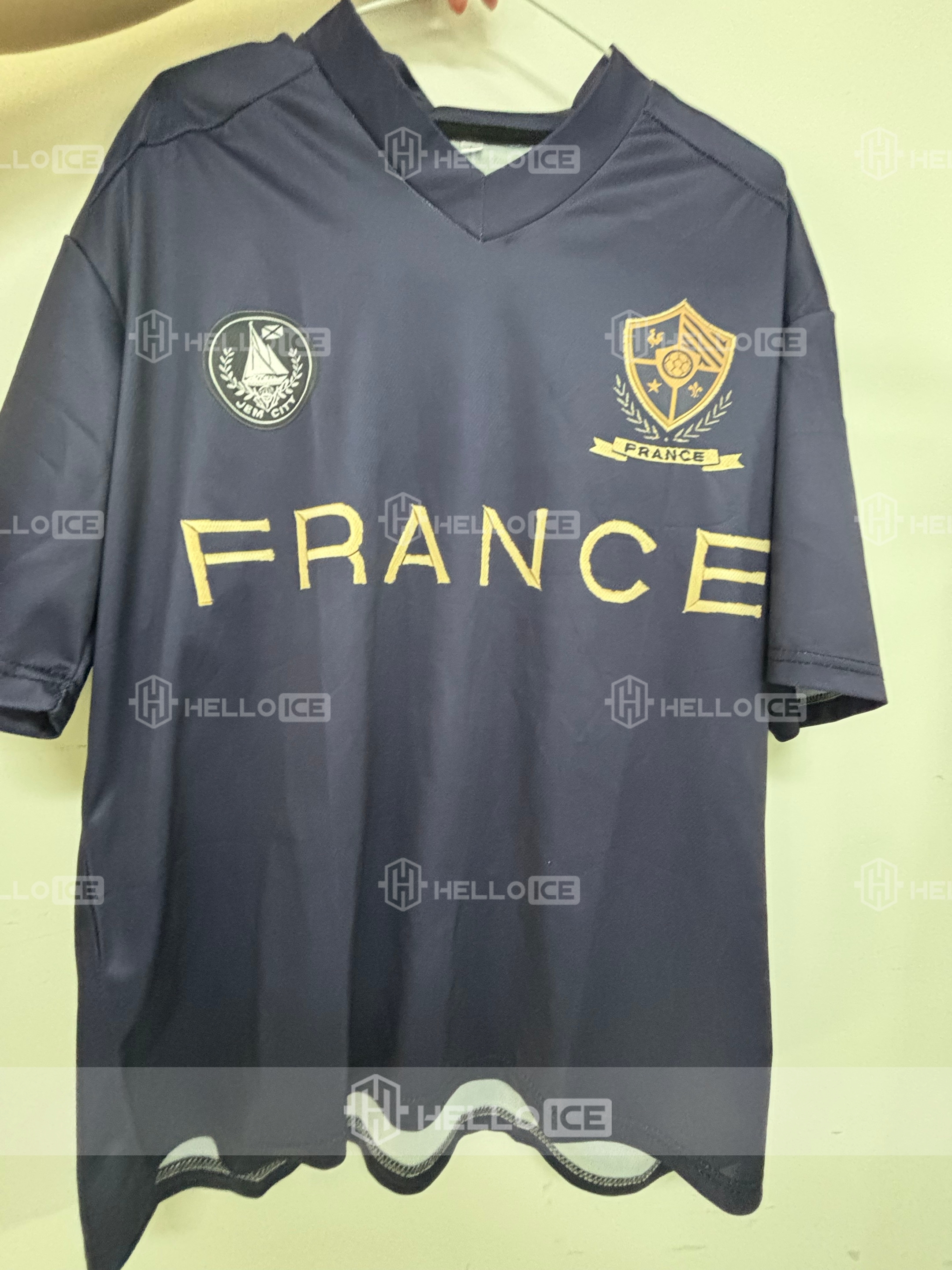 Helloice Review Image