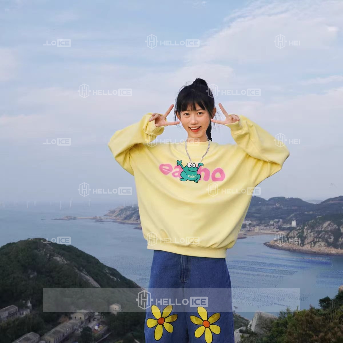 Helloice Review Image