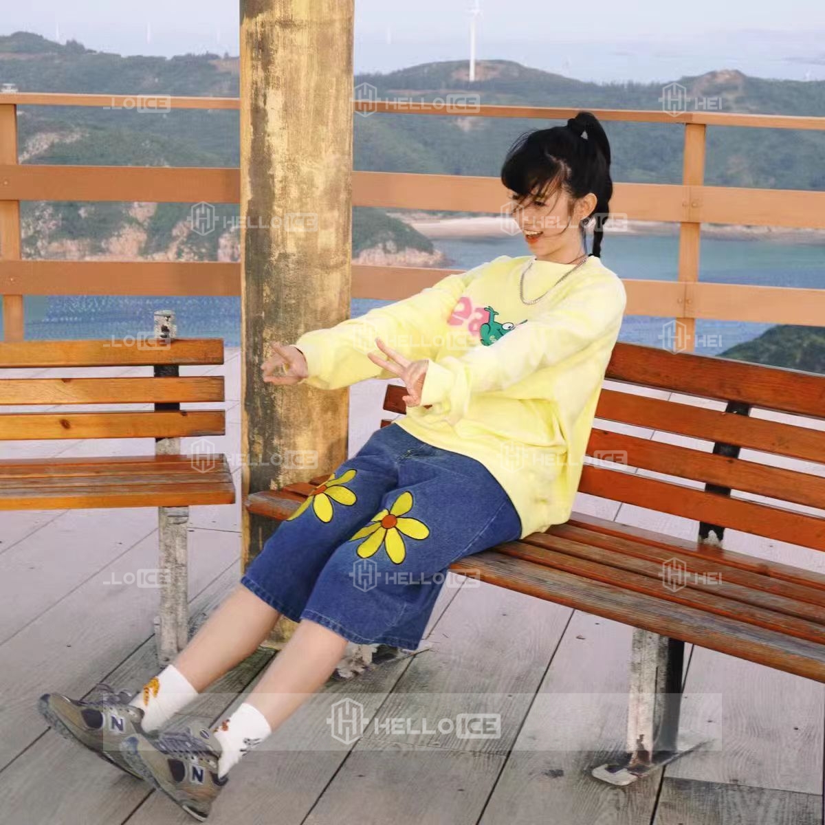 Helloice Review Image