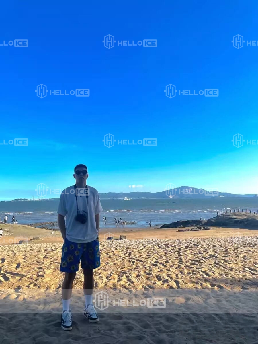 Helloice Review Image