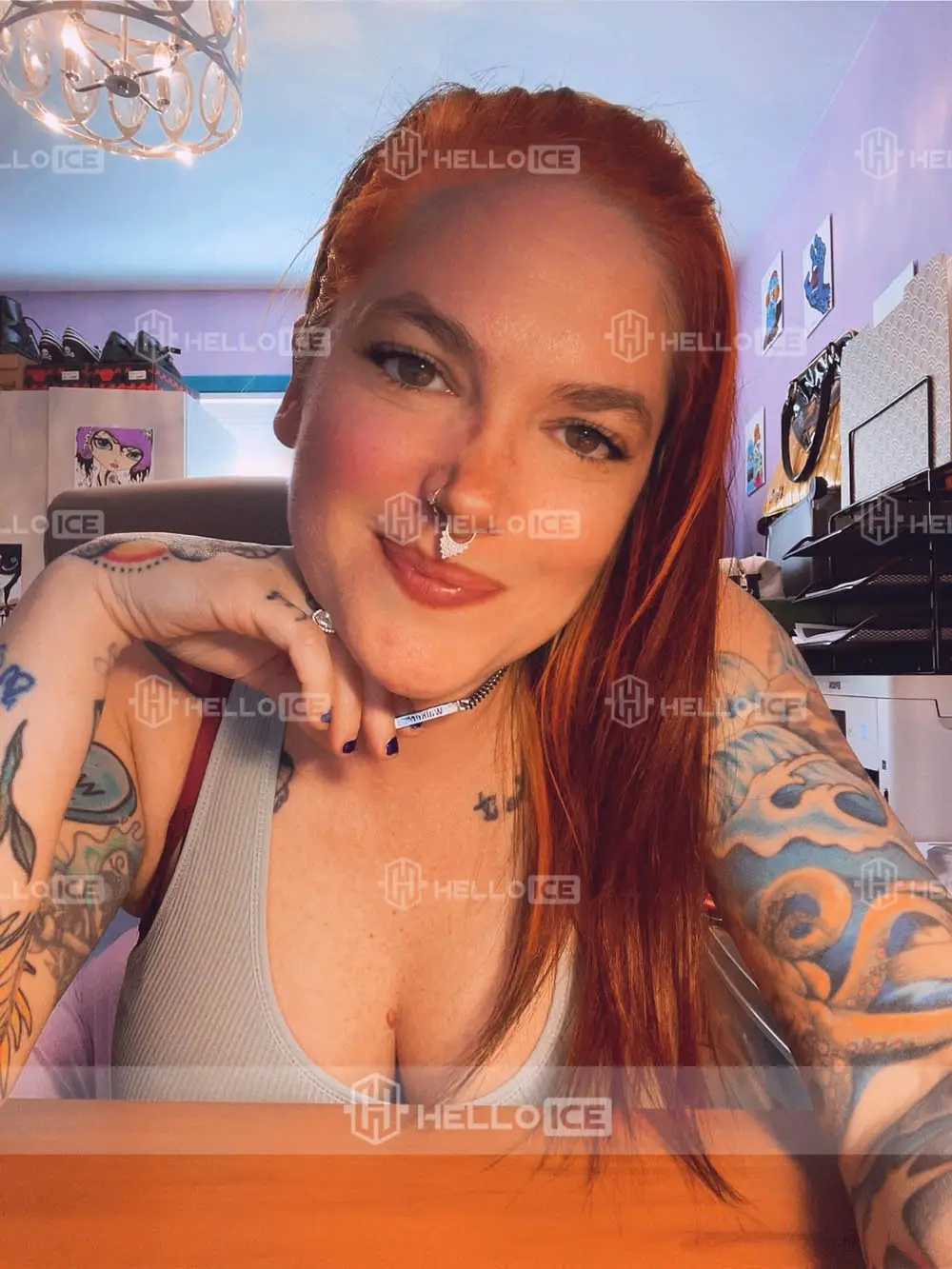 Helloice Review Image